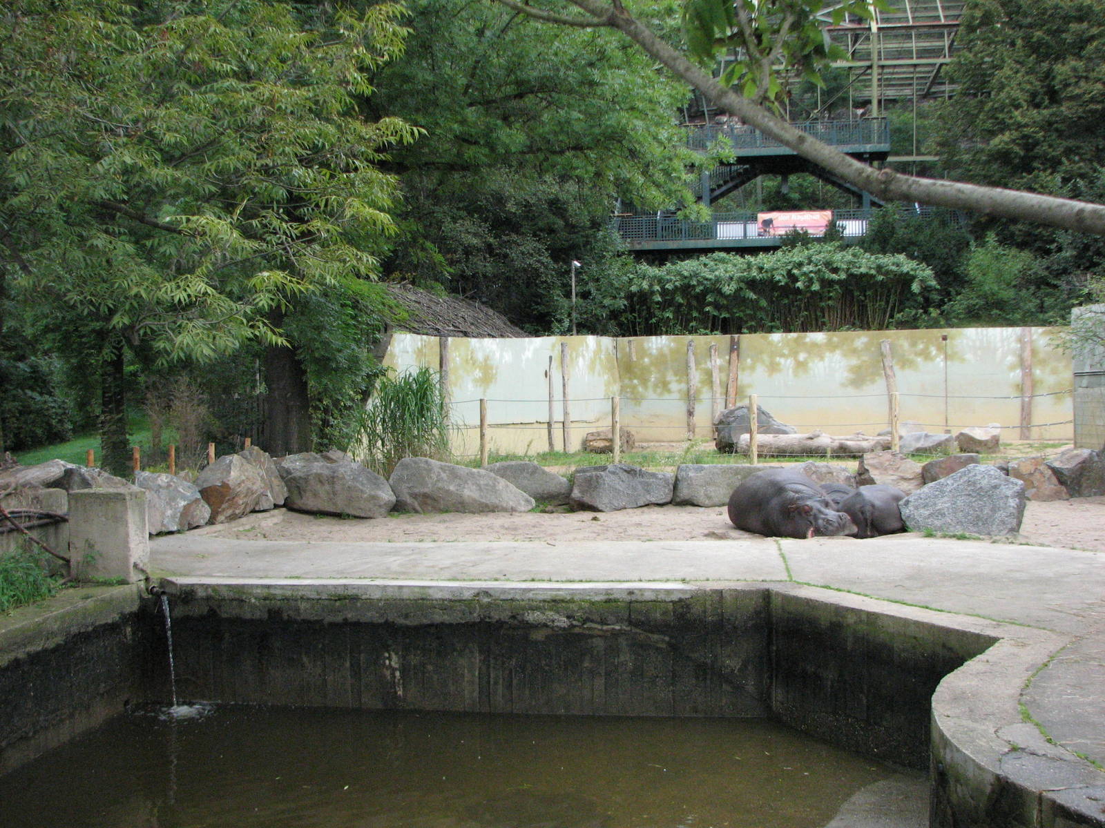 Zoo Praha - Another part of the Hippopotamus exhibit