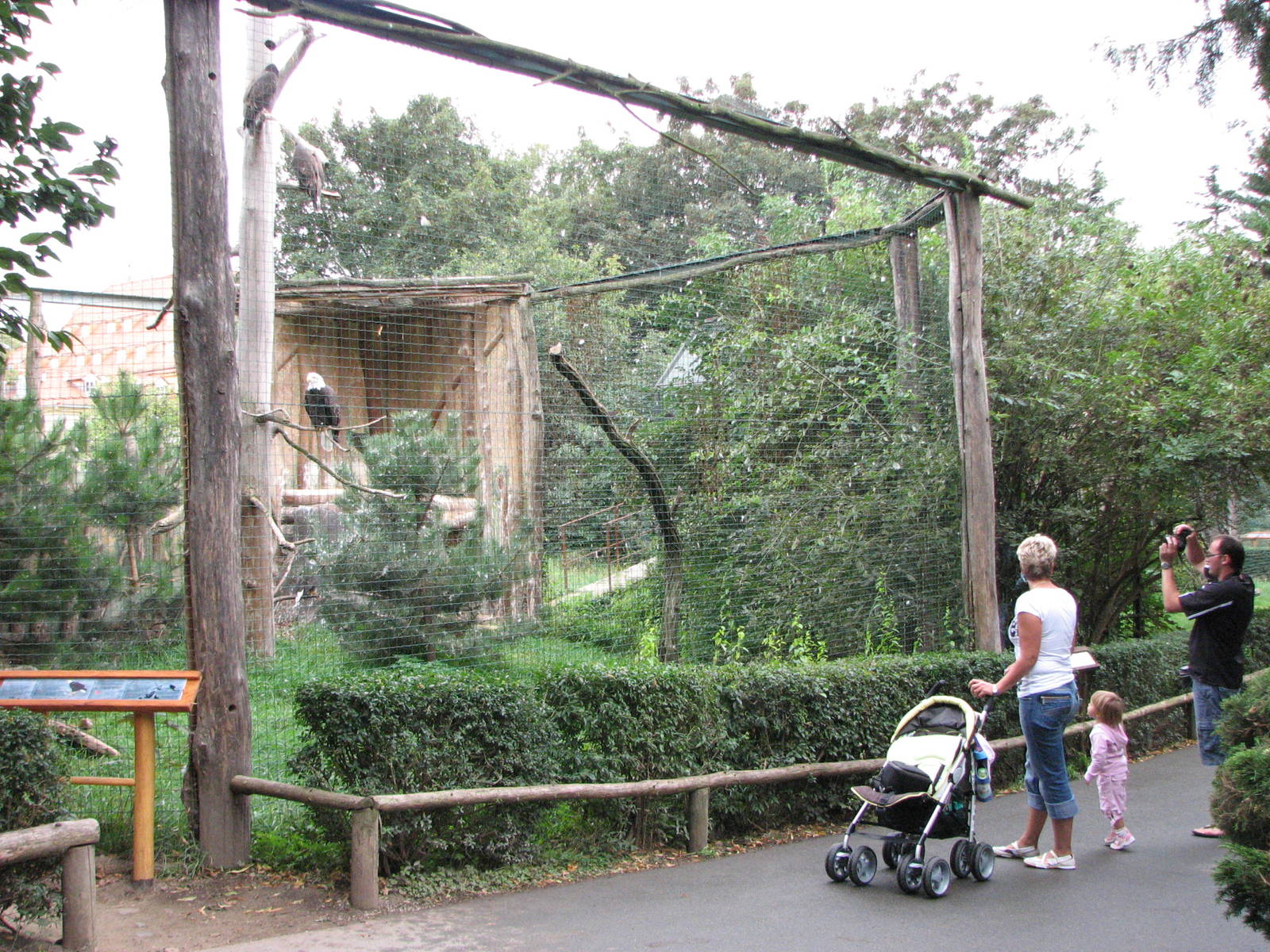 Zoo Praha - Bald Eagle aviary