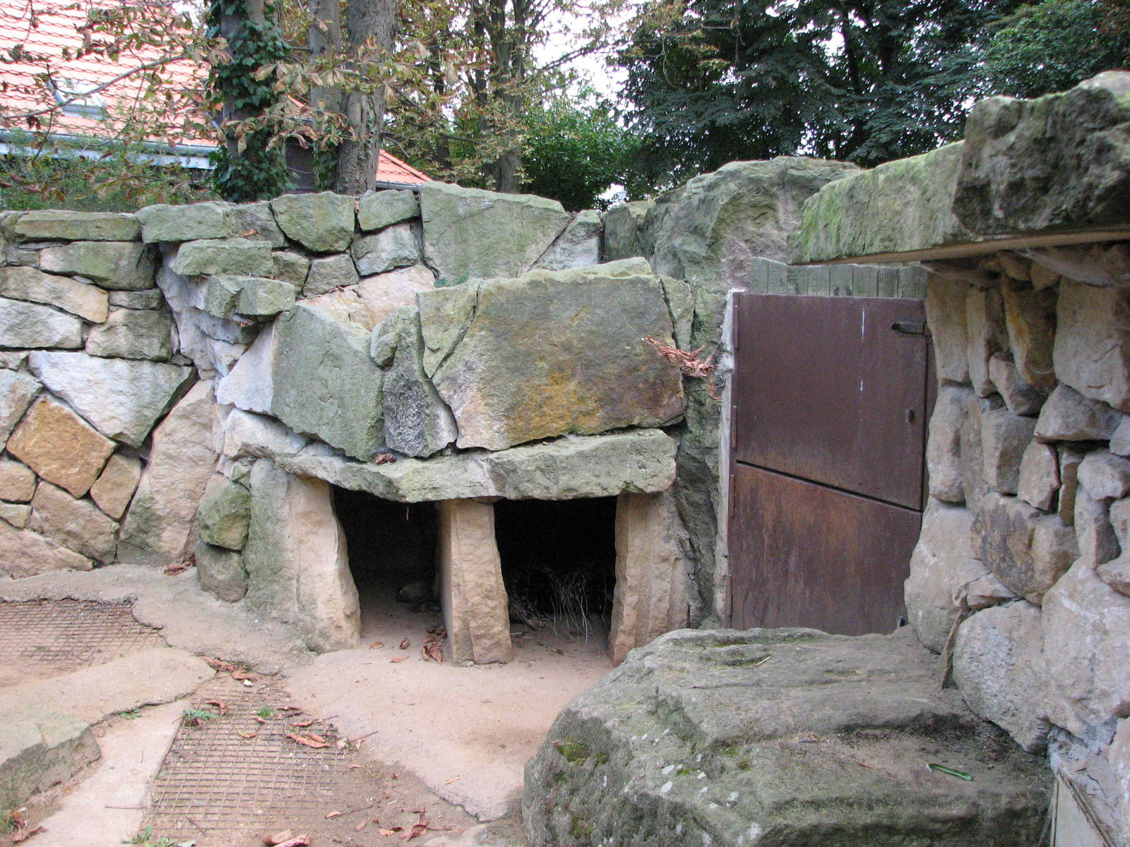 Zoo Praha - Cape Porcupines in the outside exhibit