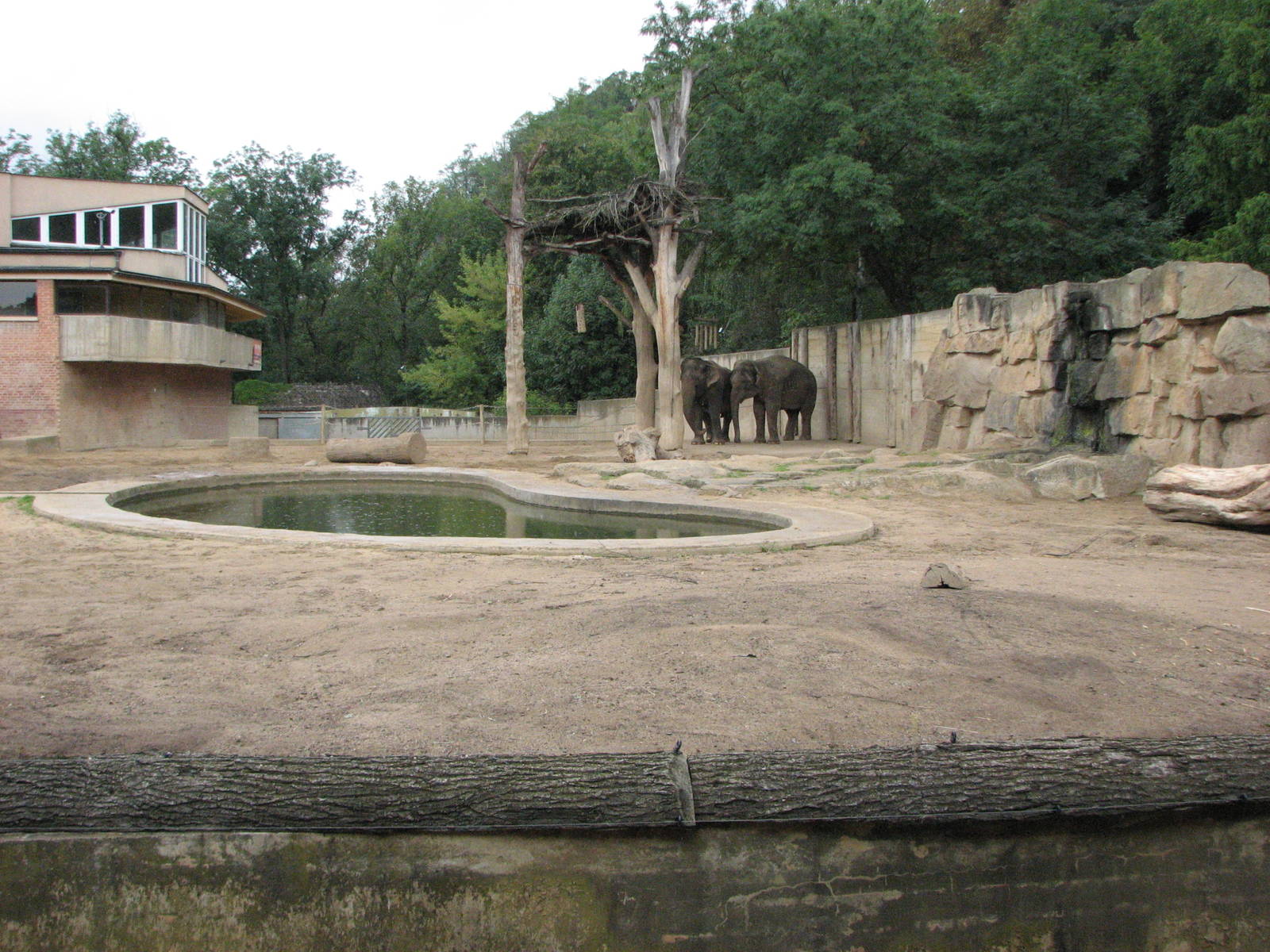 Zoo Praha - Elephant exhibit