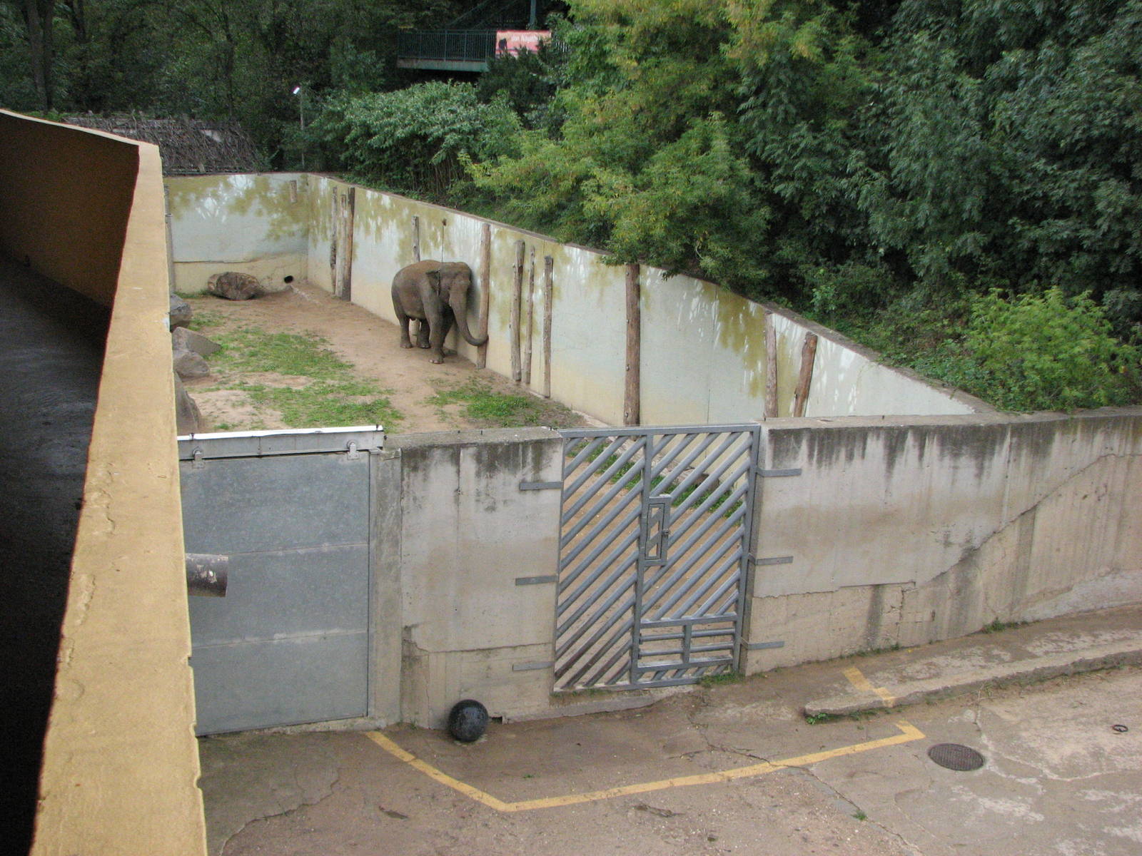 Zoo Praha - Elephant holding pen