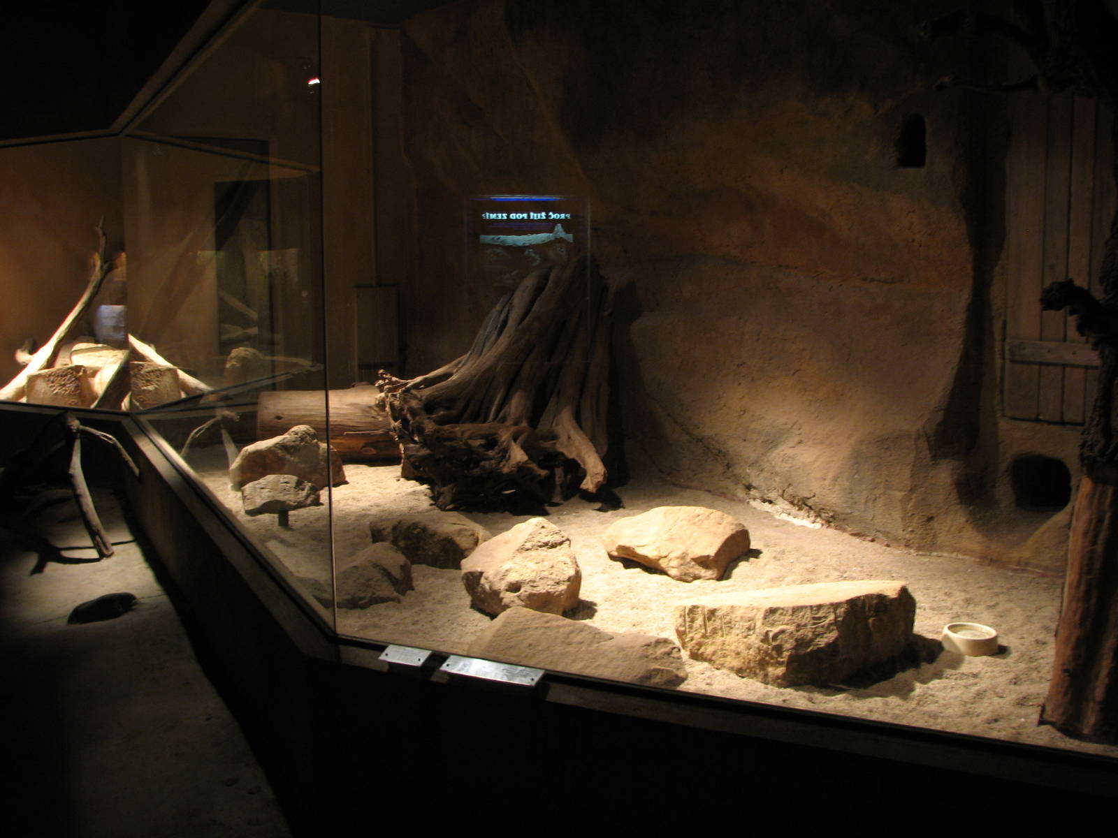 Zoo Praha - Exhibit inside the nocturnal Africa House