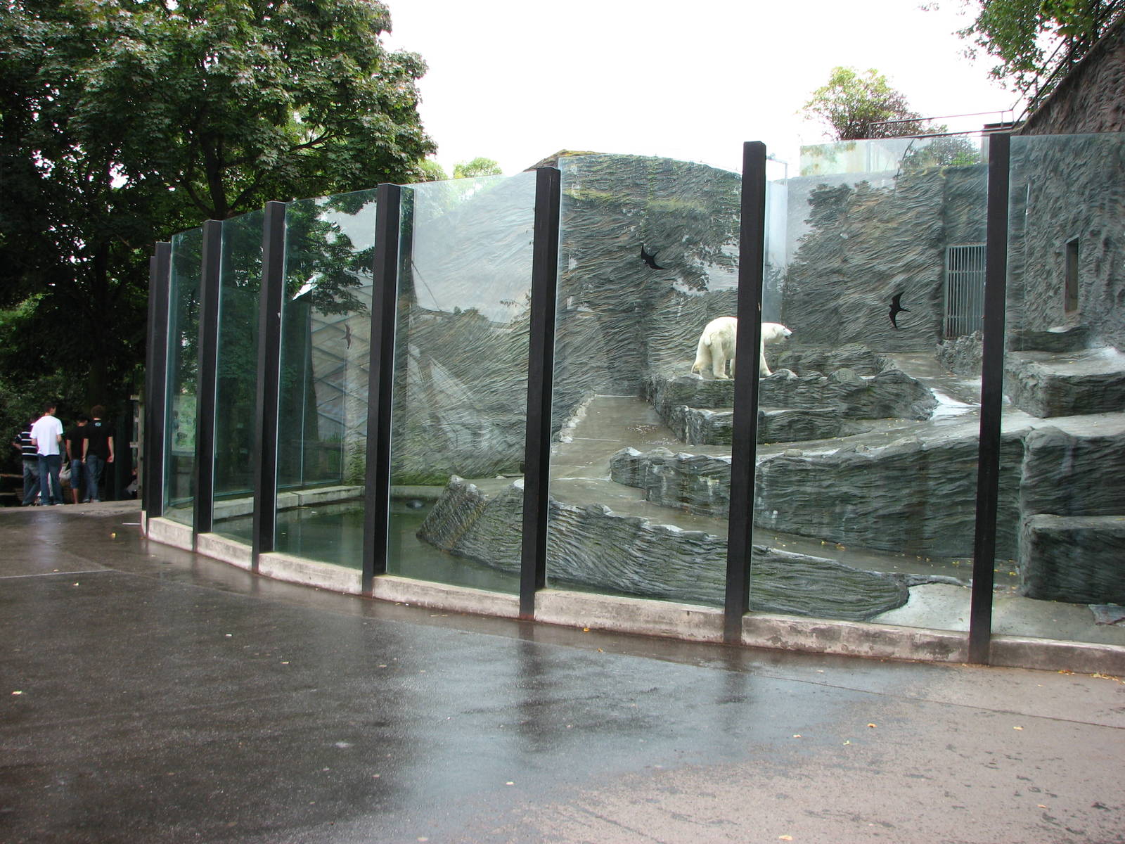 Zoo Praha - First Polar Bear exhibit