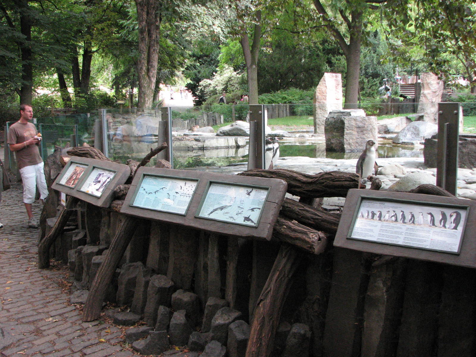 Zoo Praha - Front of Penguin exhibit