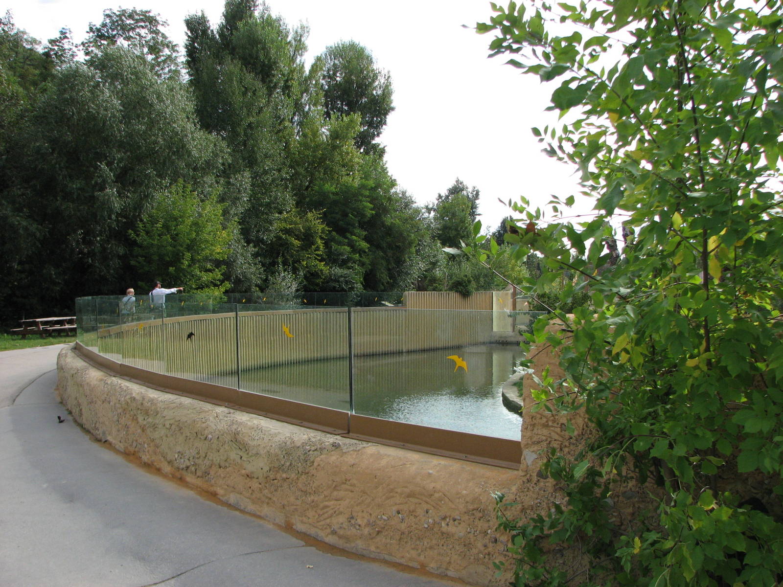 Zoo Praha - Front of Sumatran Tiger exhibit