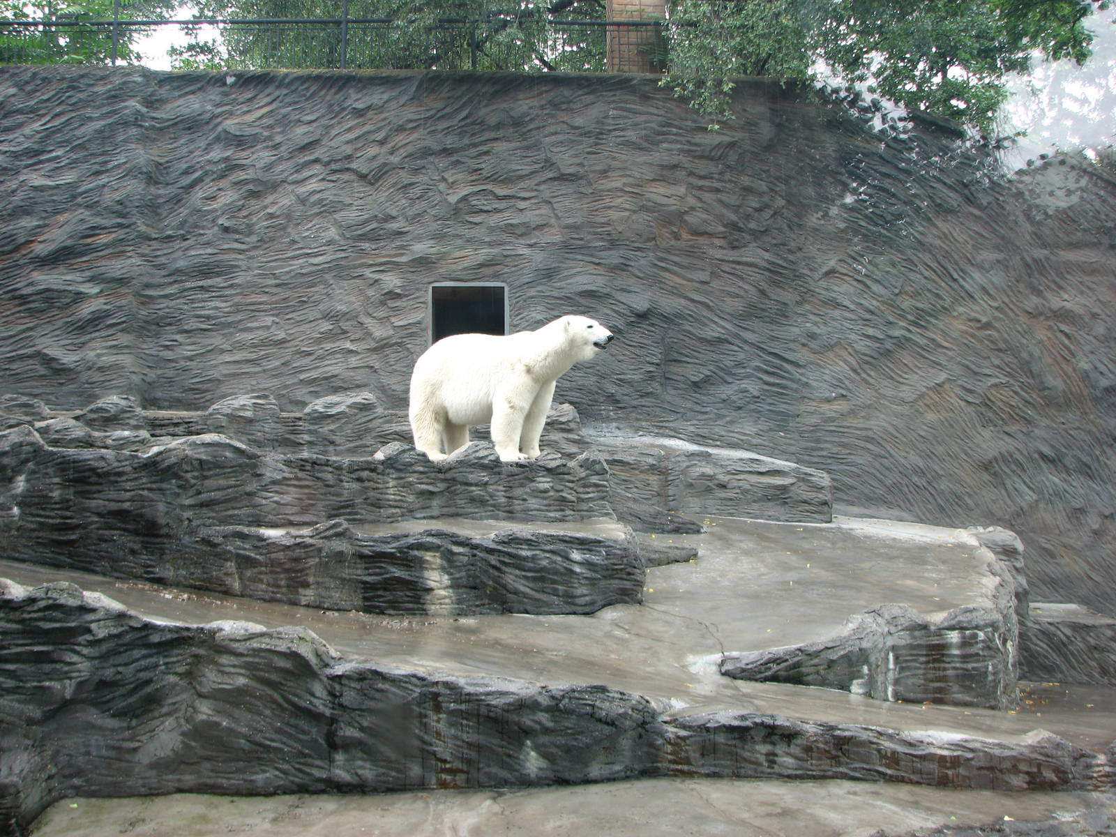 Zoo Praha - Front-view of the Polar Bear exhibit