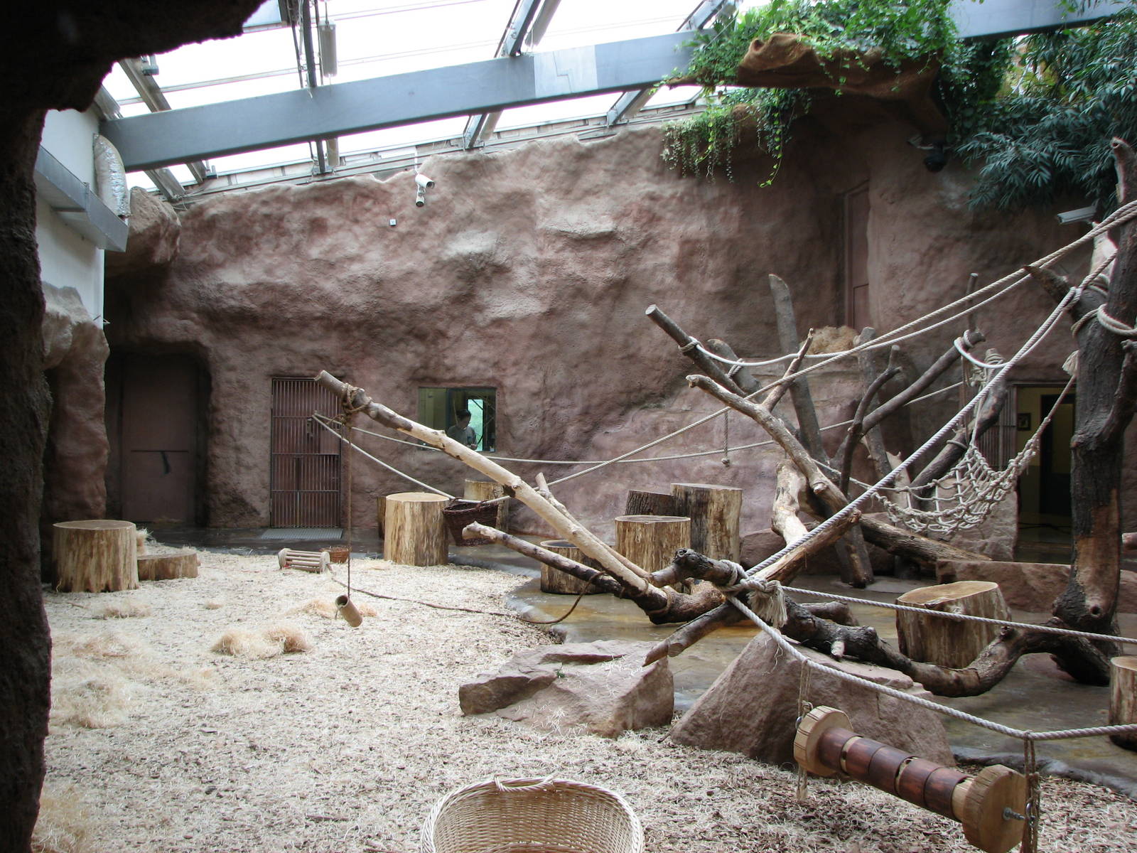 Zoo Praha - Indoor Gorilla exhibit