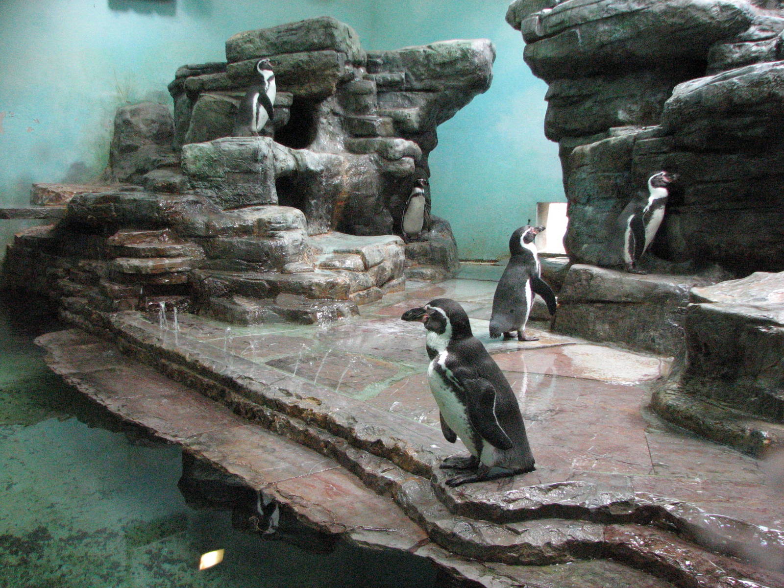 Zoo Praha - Indoor Penguin exhibit