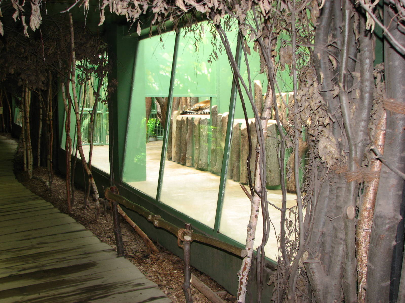 Zoo Praha - Indoor Tiger exhibit