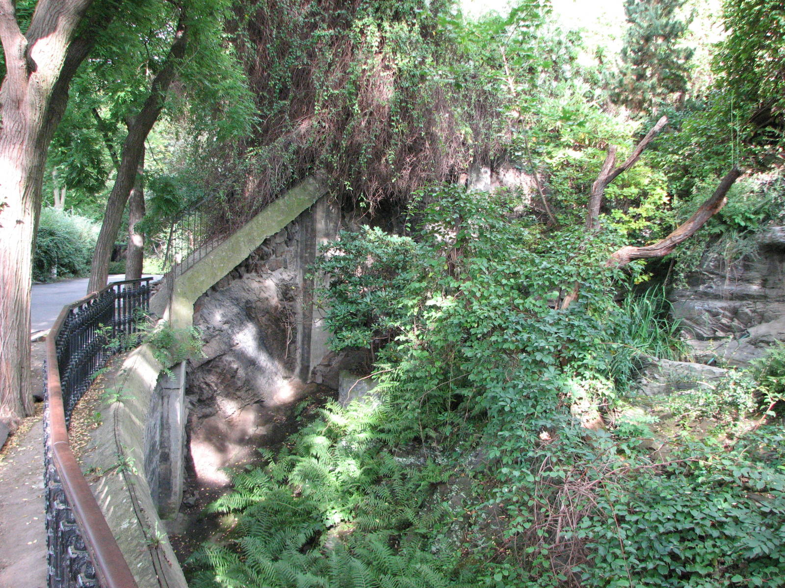 Zoo Praha - Inside of Red Panda exhibit