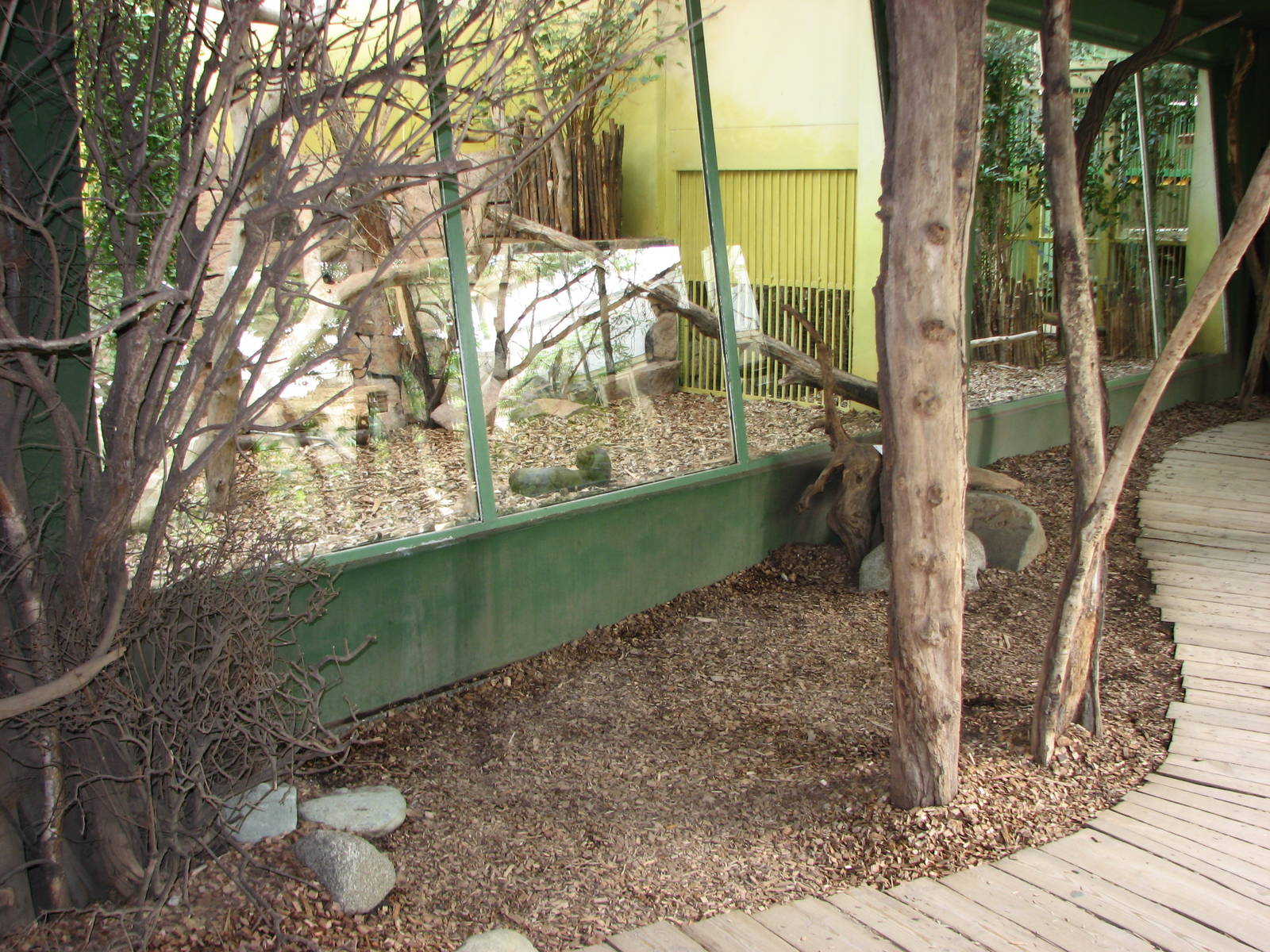 Zoo Praha - Inside the Big Cat House