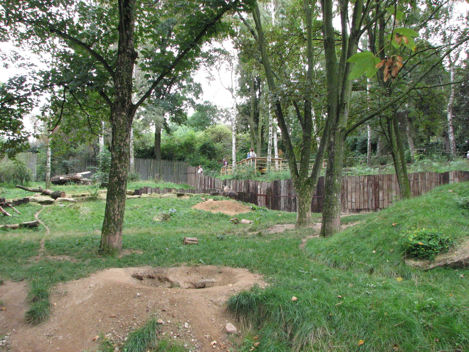 Zoo Praha - Large Brown Hyena exhibit