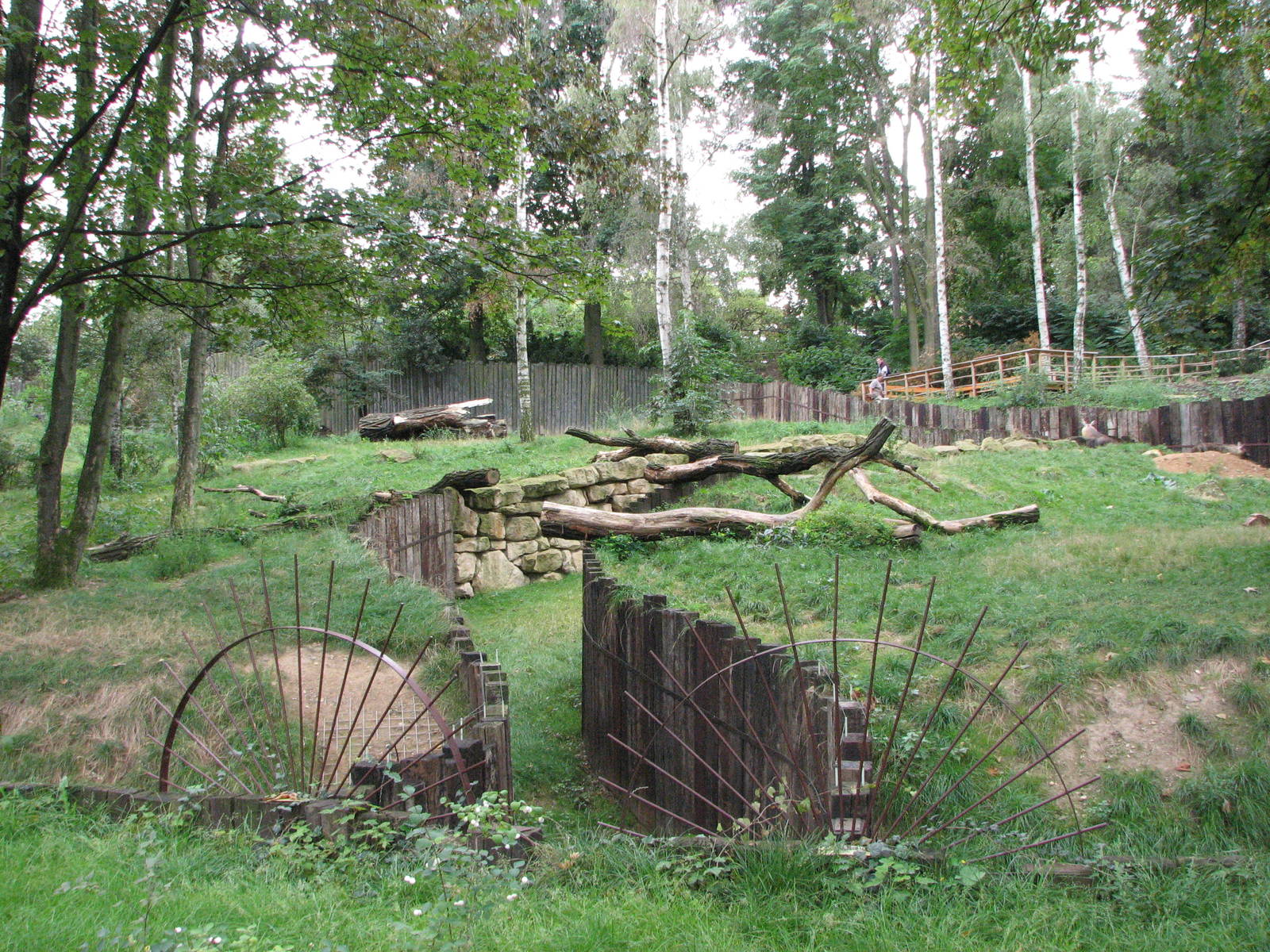 Zoo Praha - Large Brown Hyena exhibit
