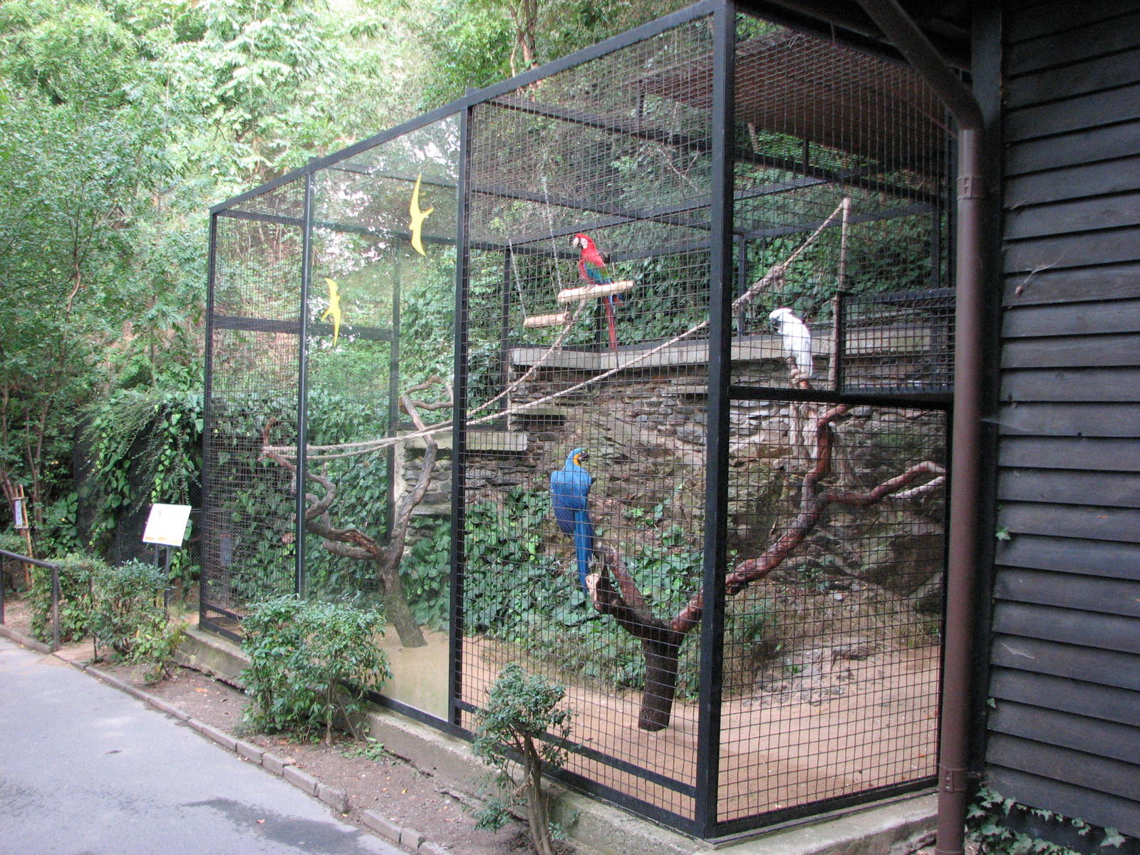 Zoo Praha - Mixed Macaw and Cookatoo cage