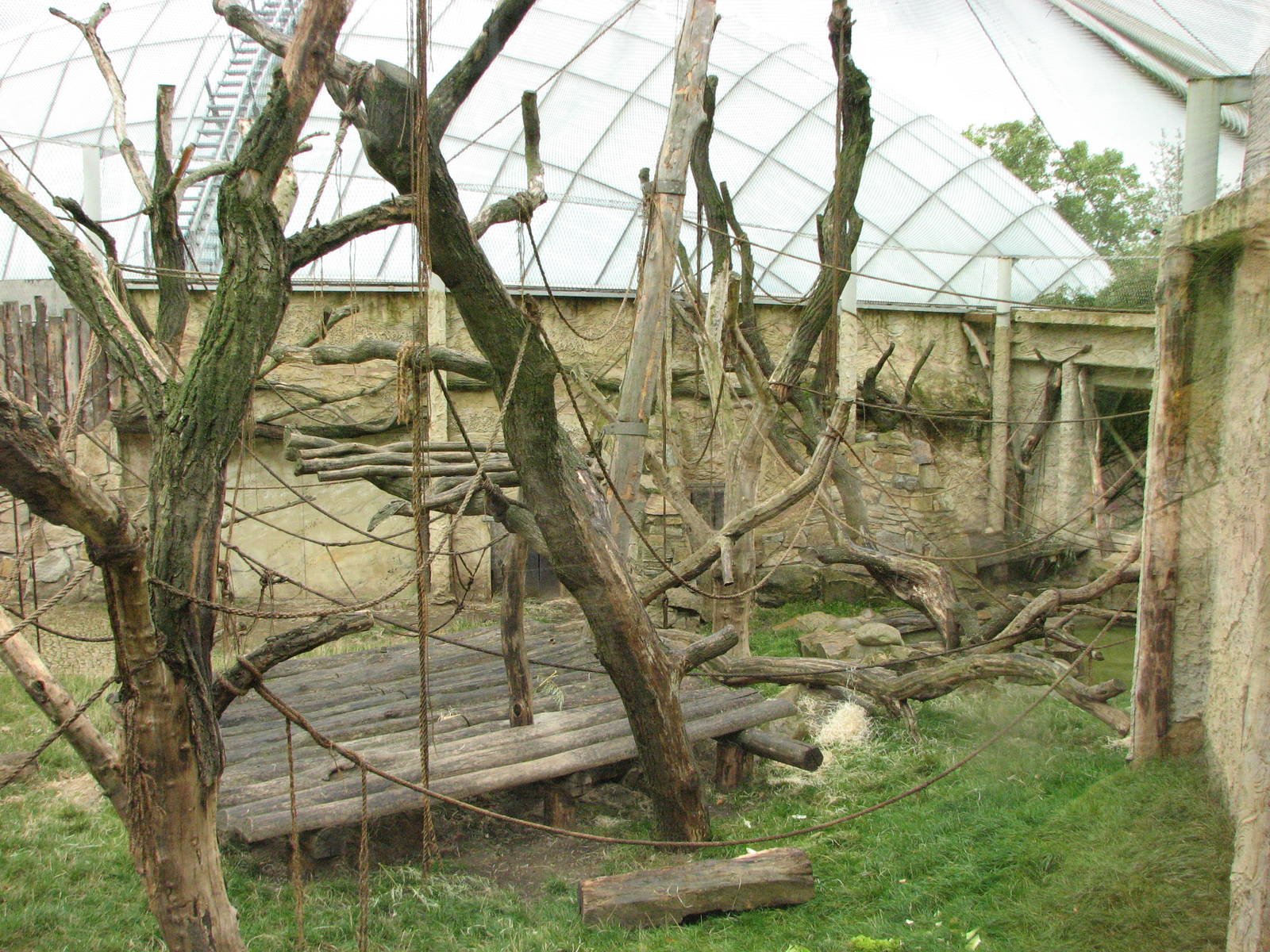 Zoo Praha - Mixed outdoor Orangutan and Gibbon exhibit