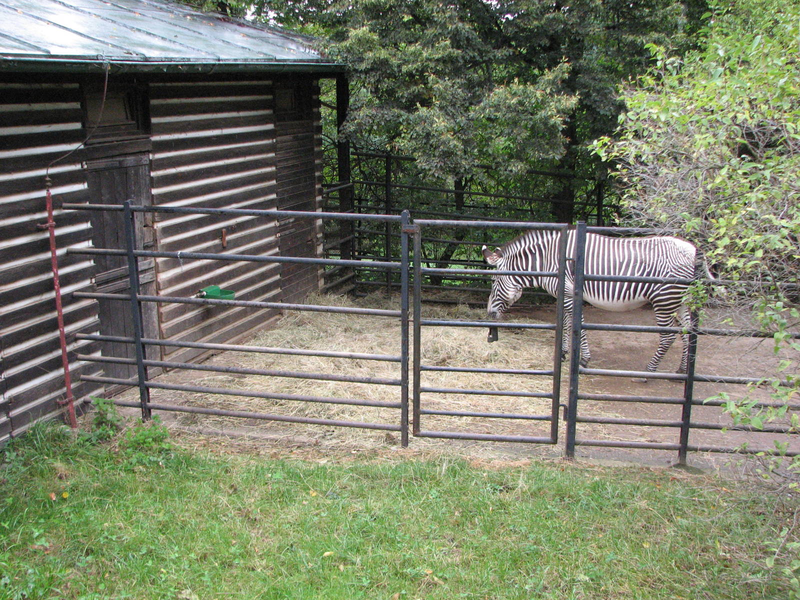 Zoo Praha - Old Zebra enclosure and stables