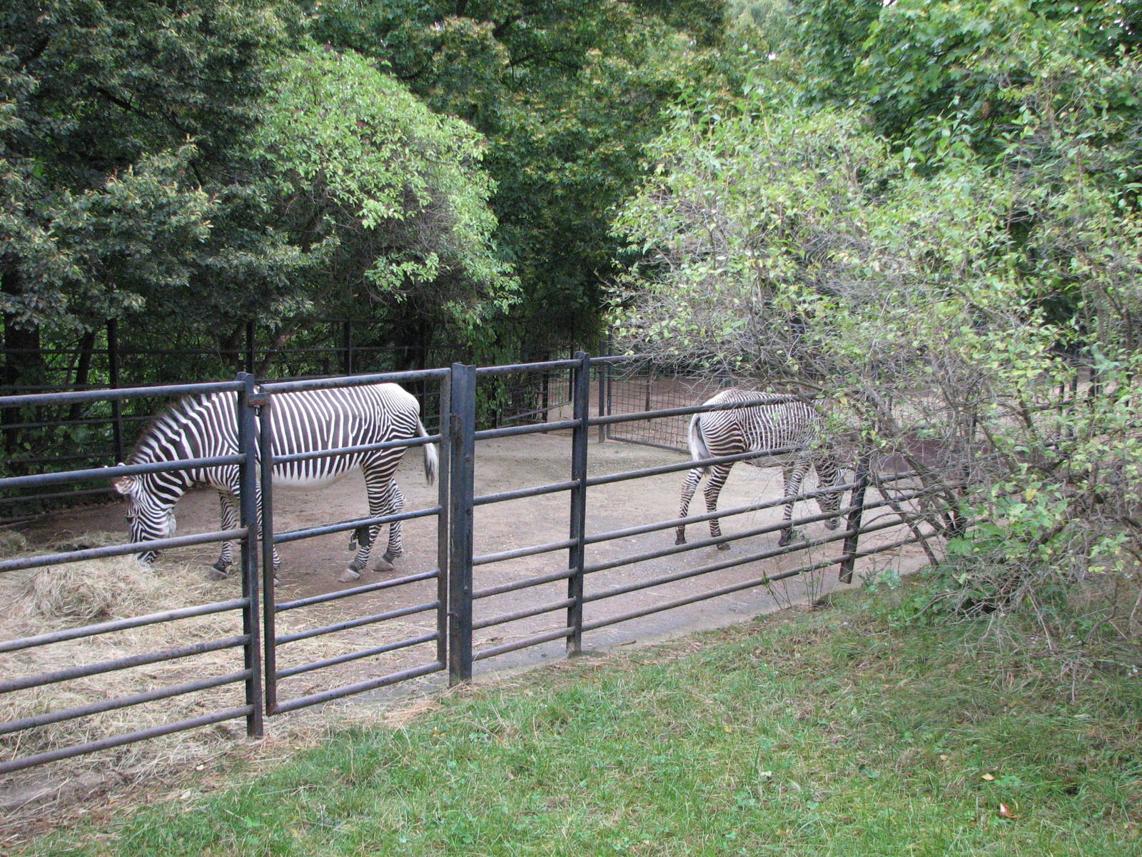 Zoo Praha - Old zebra enclosure