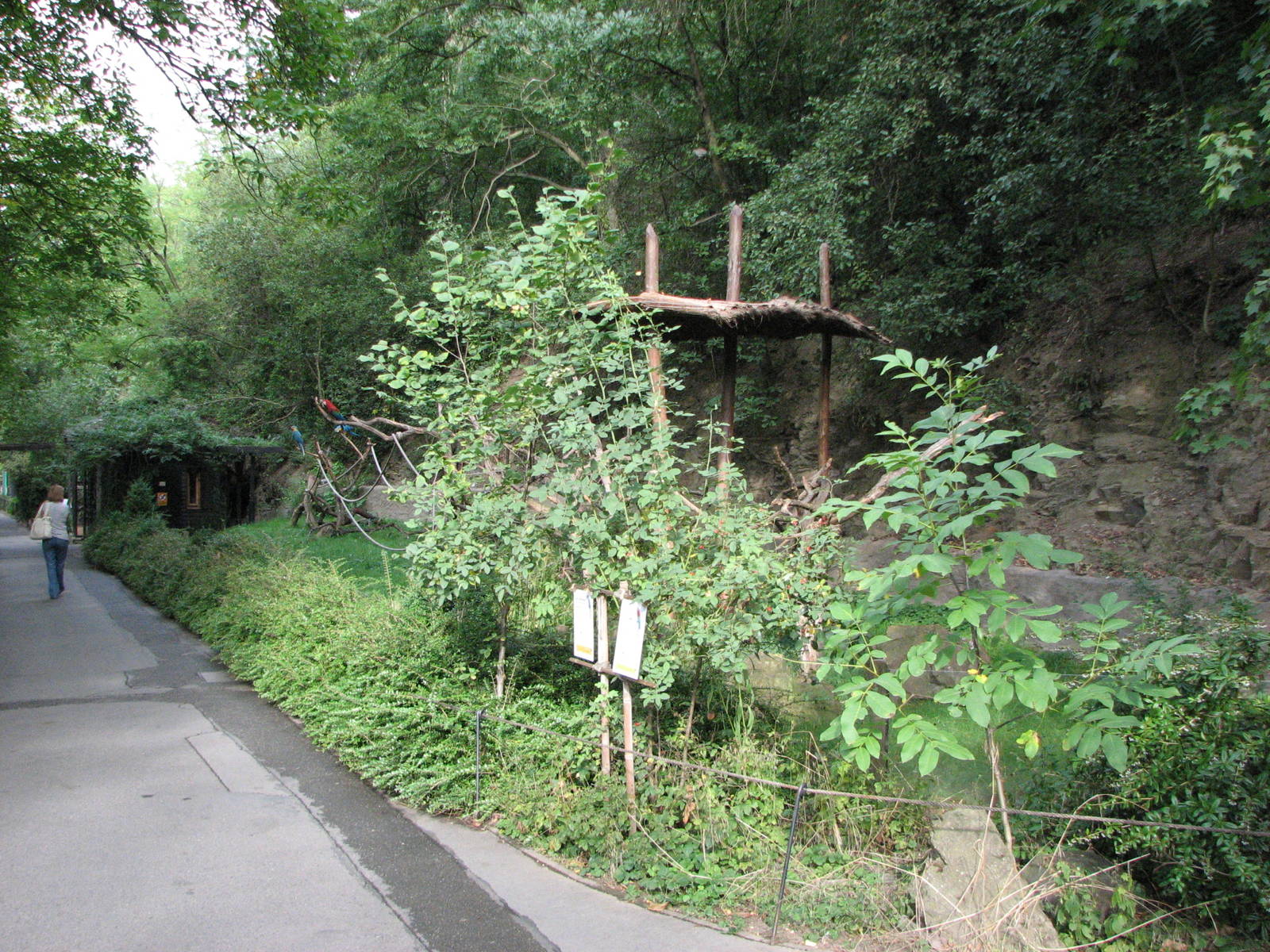 Zoo Praha - Open Macaw exhibit