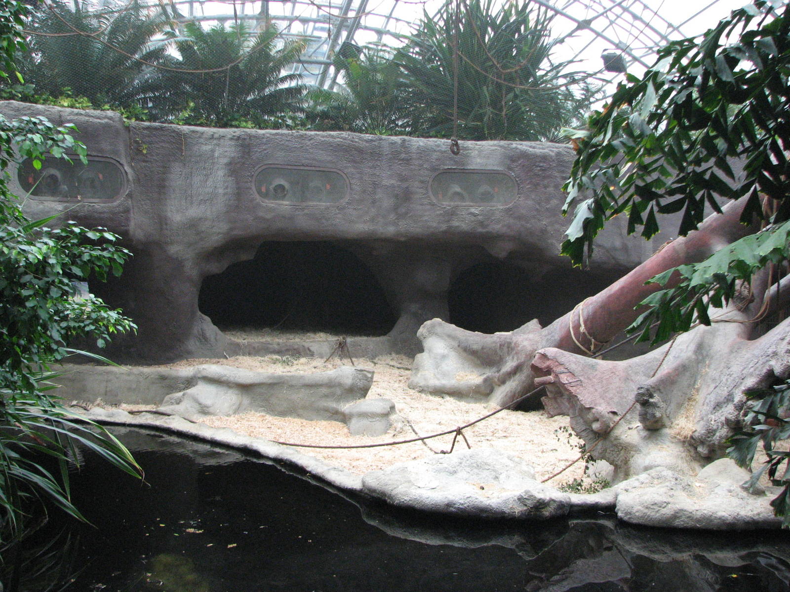 Zoo Praha - Orangutan exhibit