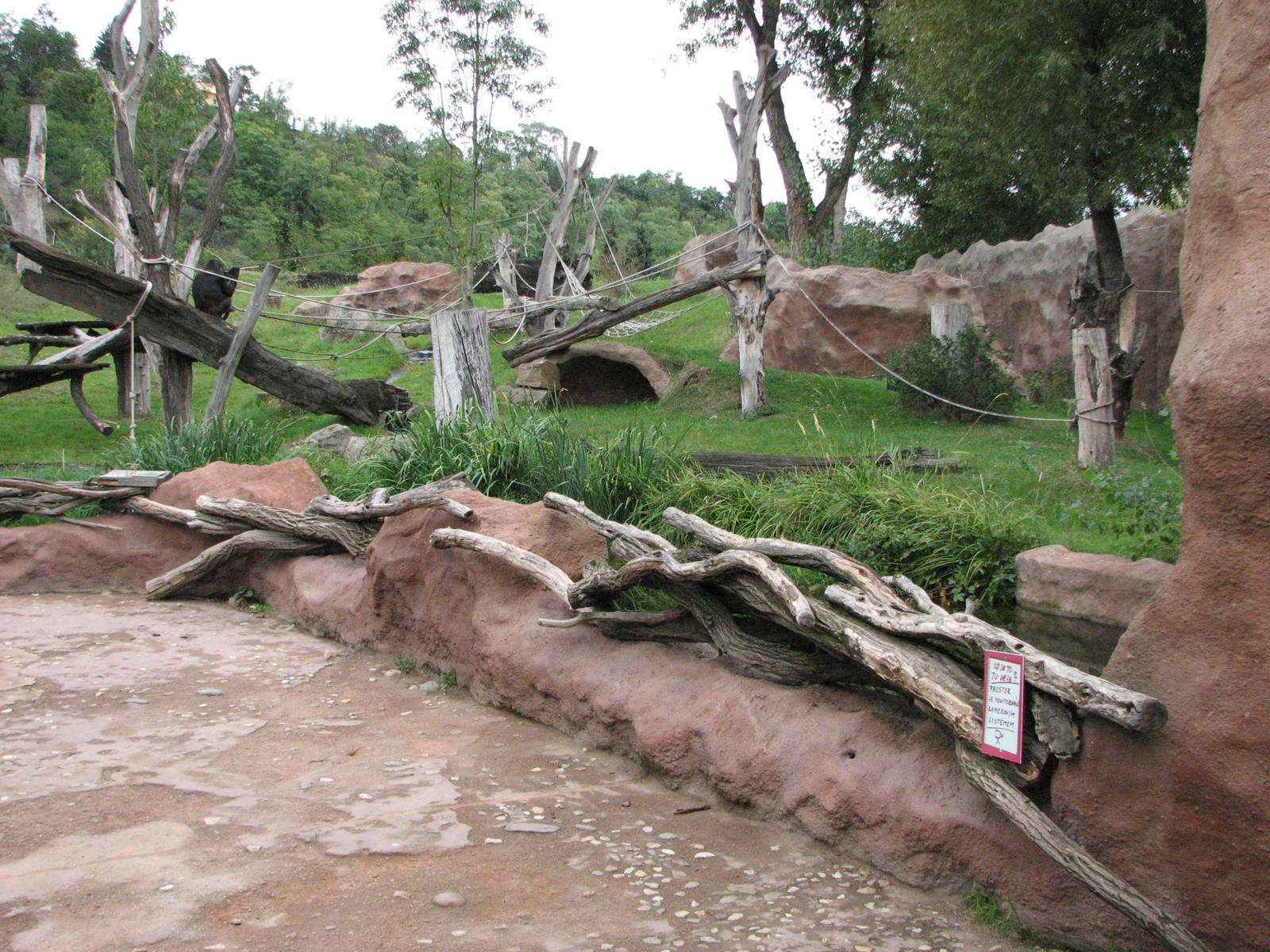 Zoo Praha - Outdoor Gorilla exhibit