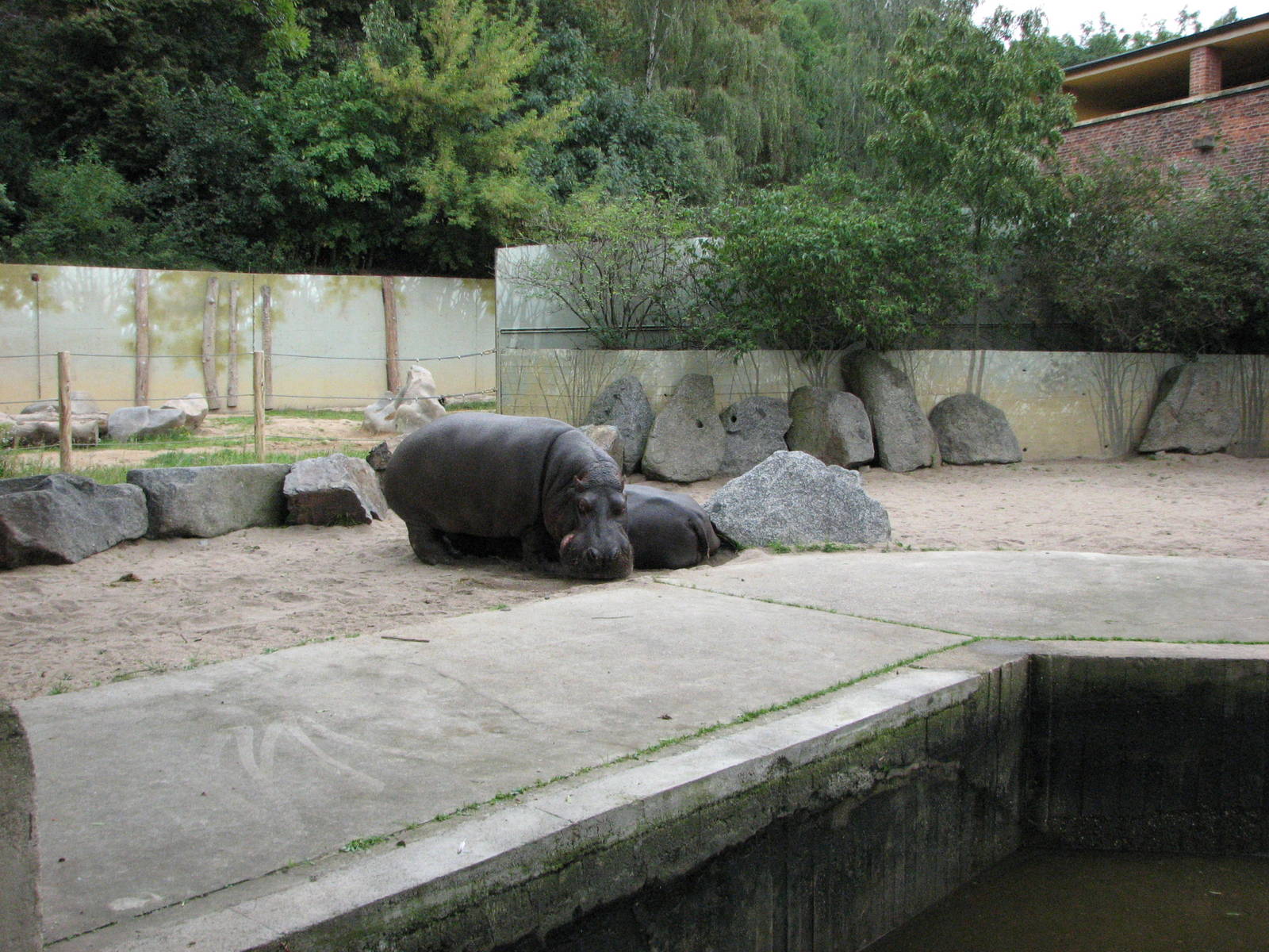 Zoo Praha - Part of the Hippopotamus exhibit