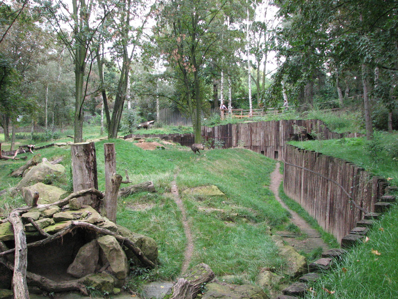 Zoo Praha - Part of the large Brown Hyena exhibit