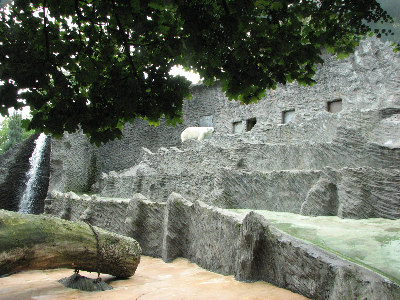 Zoo Praha - Polar Bear exhibit