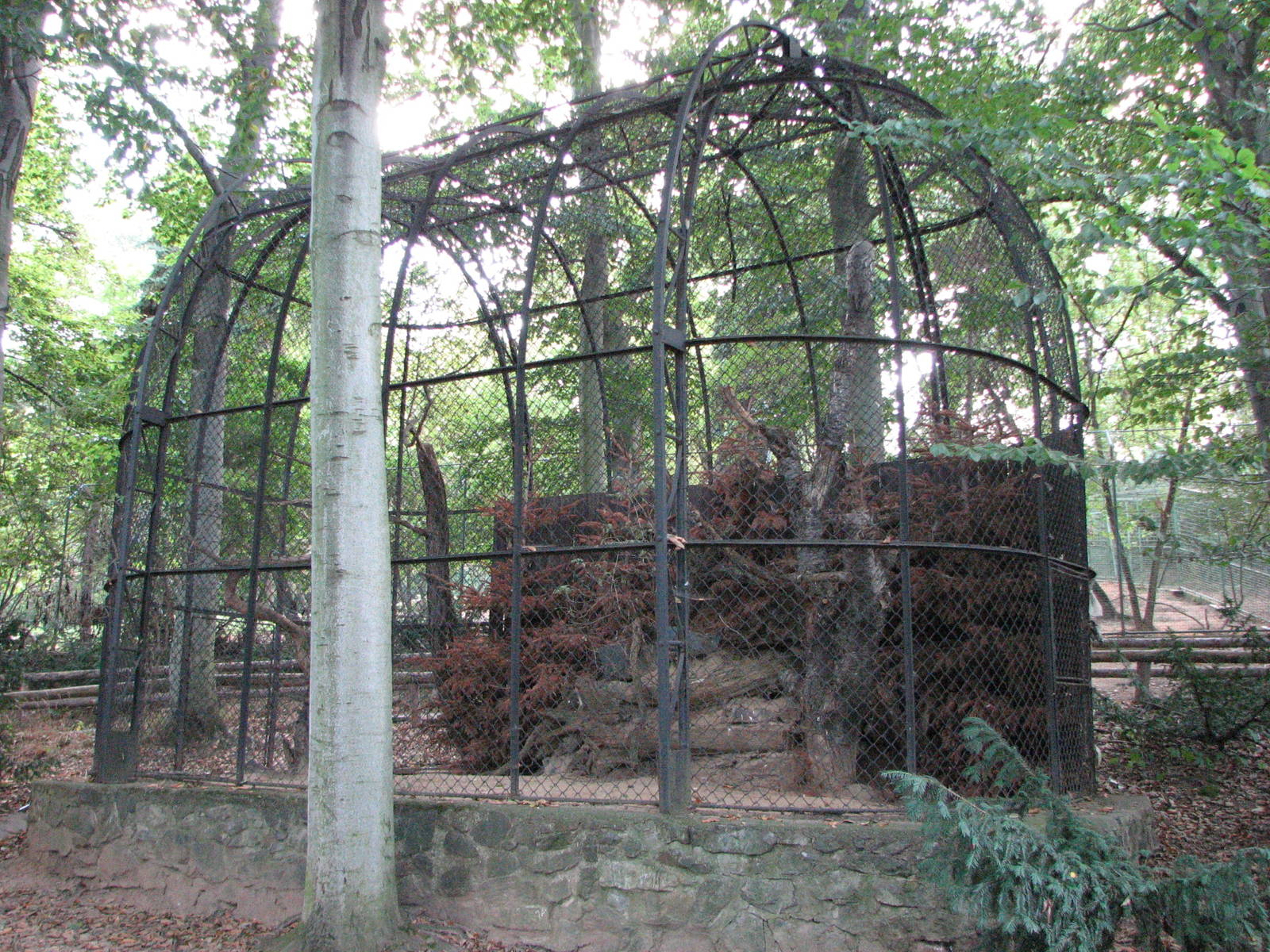 Zoo Praha - Rusty old cage