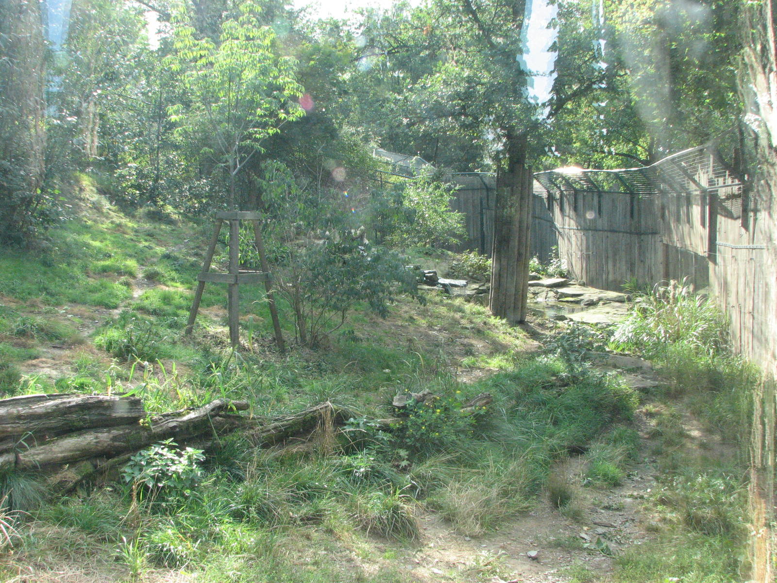 Zoo Praha - Siberian Tiger exhibit