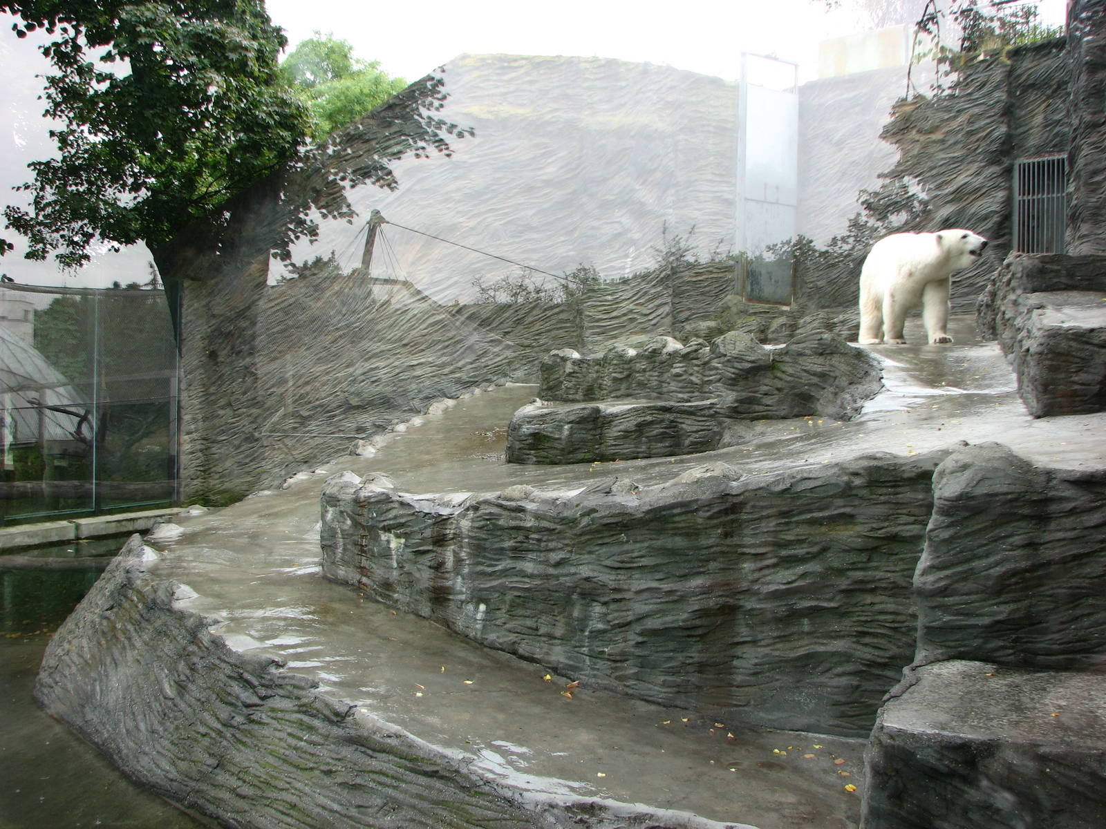 Zoo Praha - Side-view of the Polar Bear exhibit