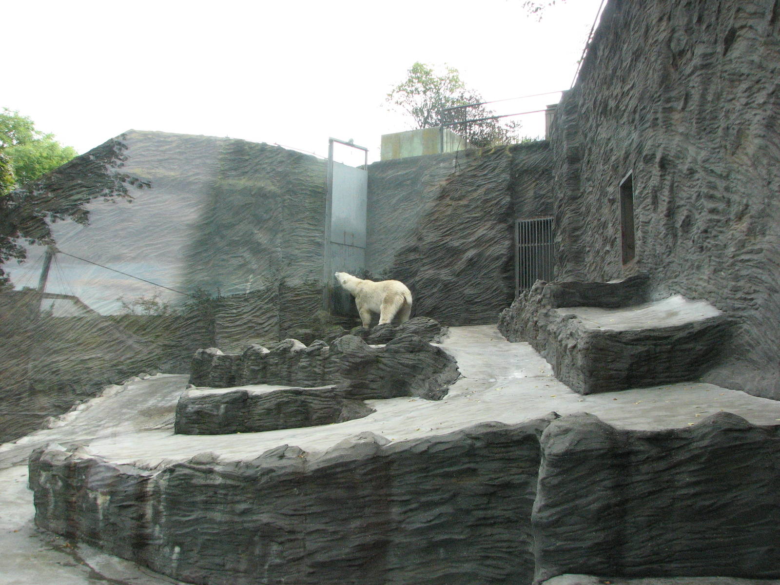 Zoo Praha - Side-view of the Polar Bear exhibit