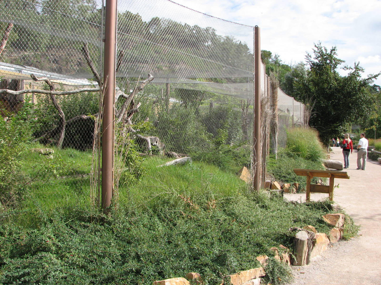 Zoo Praha - Small cat enclosures