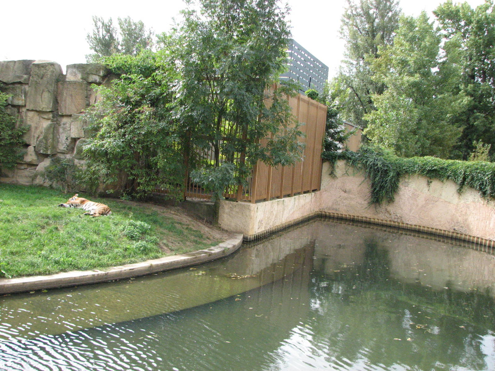 Zoo Praha - Sumatran Tiger exhibit
