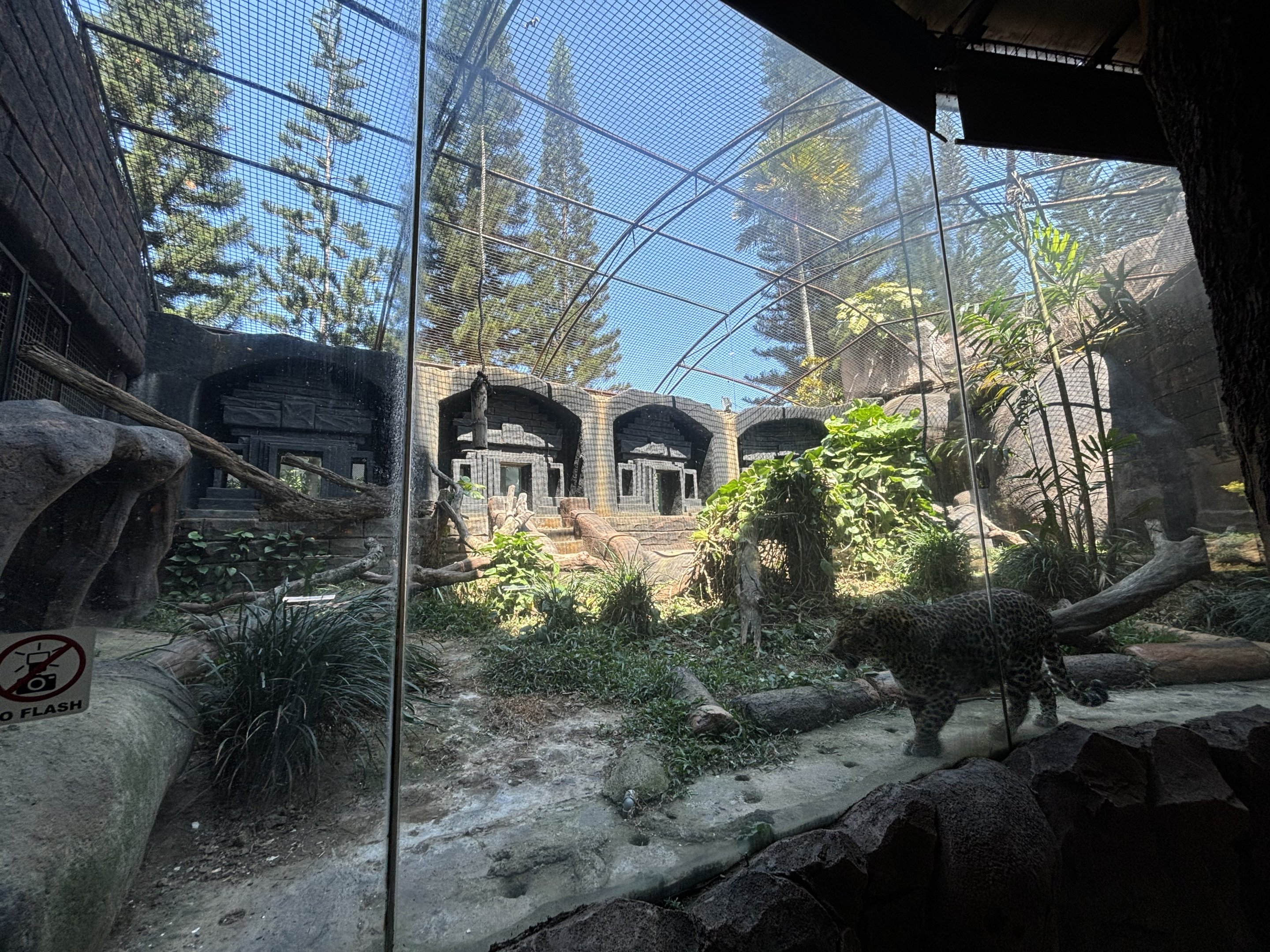 Zoo Restaurant - Javan Leopard Exhibit