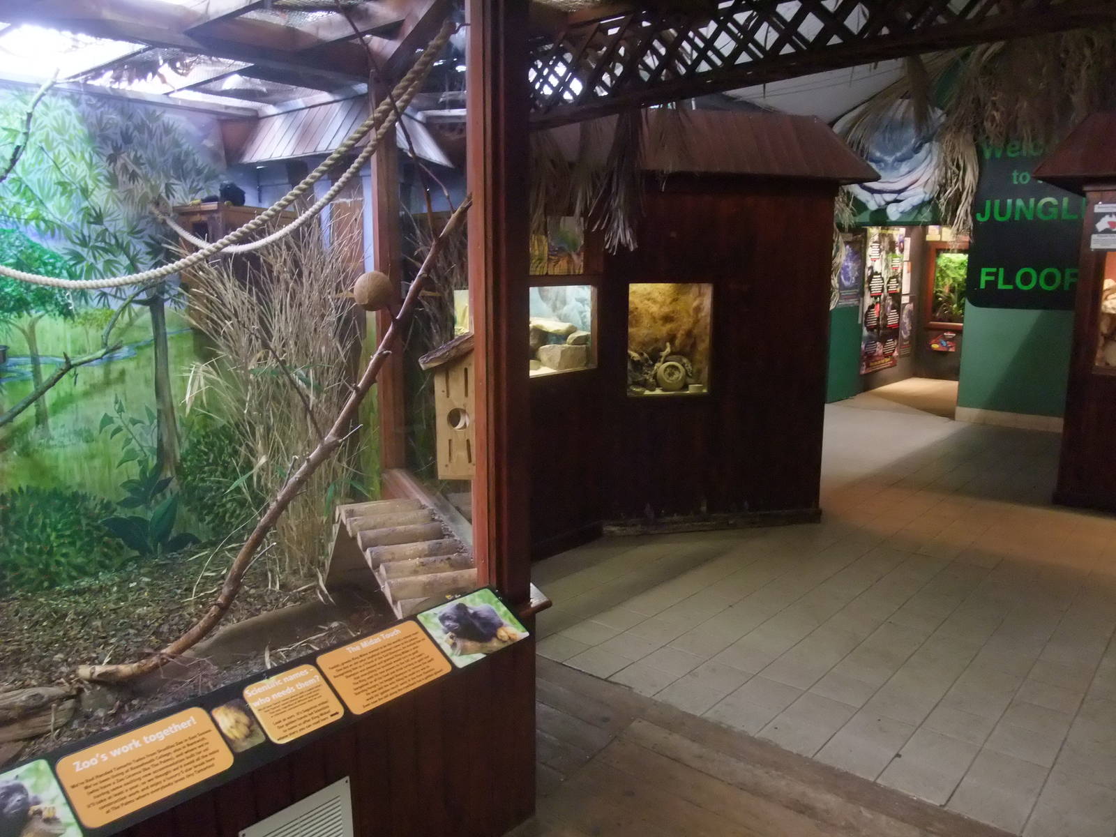 Zoo Room at the Palms: Final Visit, 08/08/10