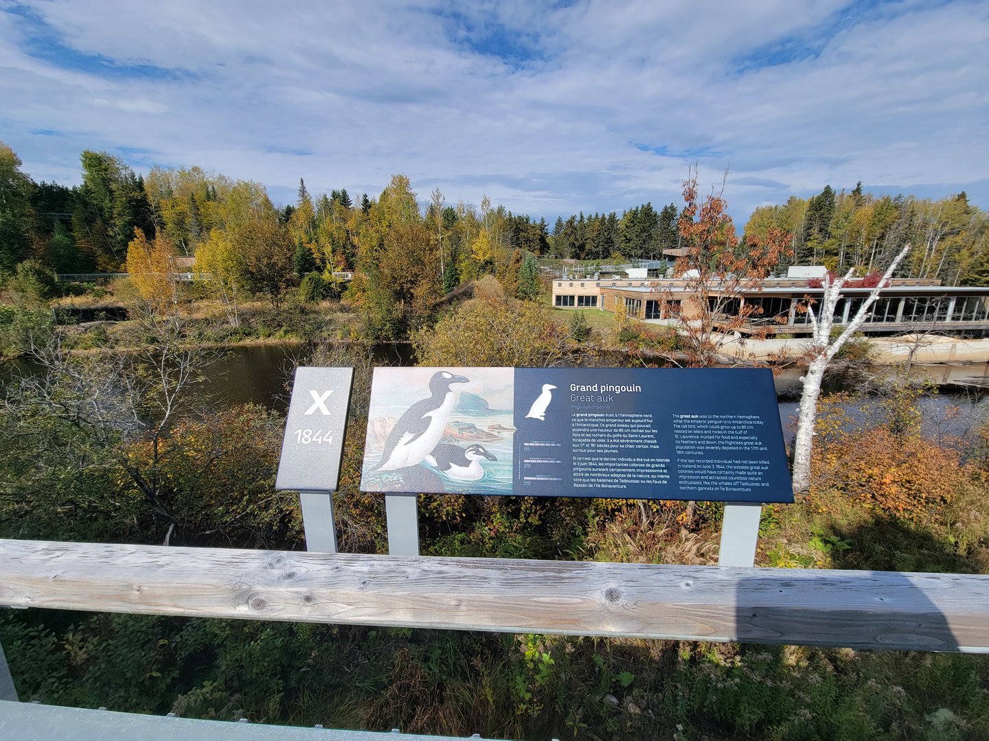 Zoo Sauvage 10/22 - Arctic Tundra, great auk extinction sign