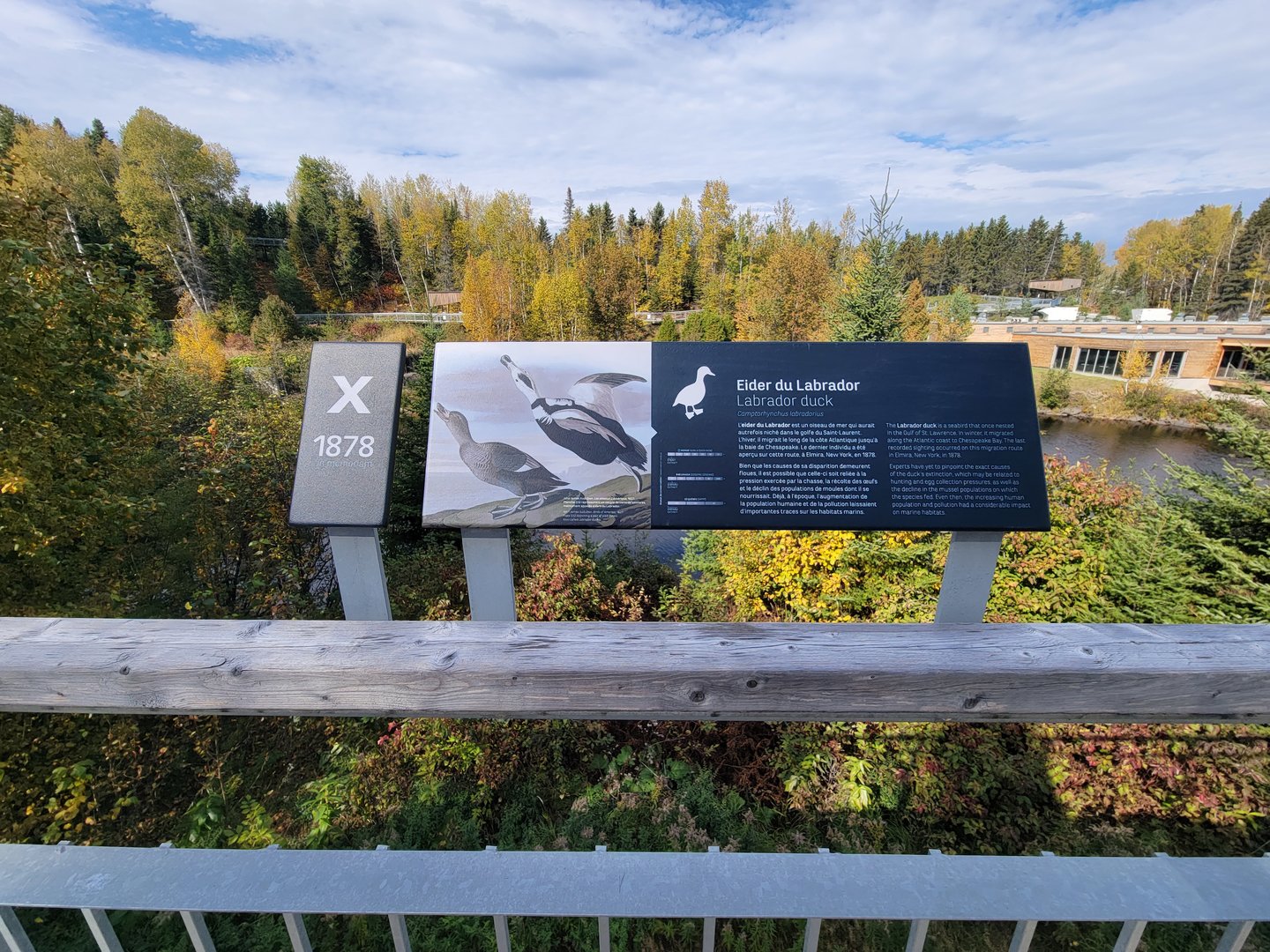 Zoo Sauvage 10/22 - Arctic Tundra, Labrador duck extinction sign