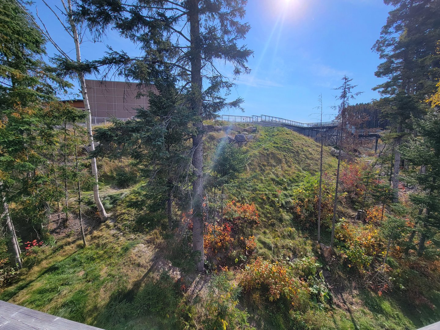 Zoo Sauvage 10/22 - Arctic Tundra, polar bear / arctic fox exhibit #1