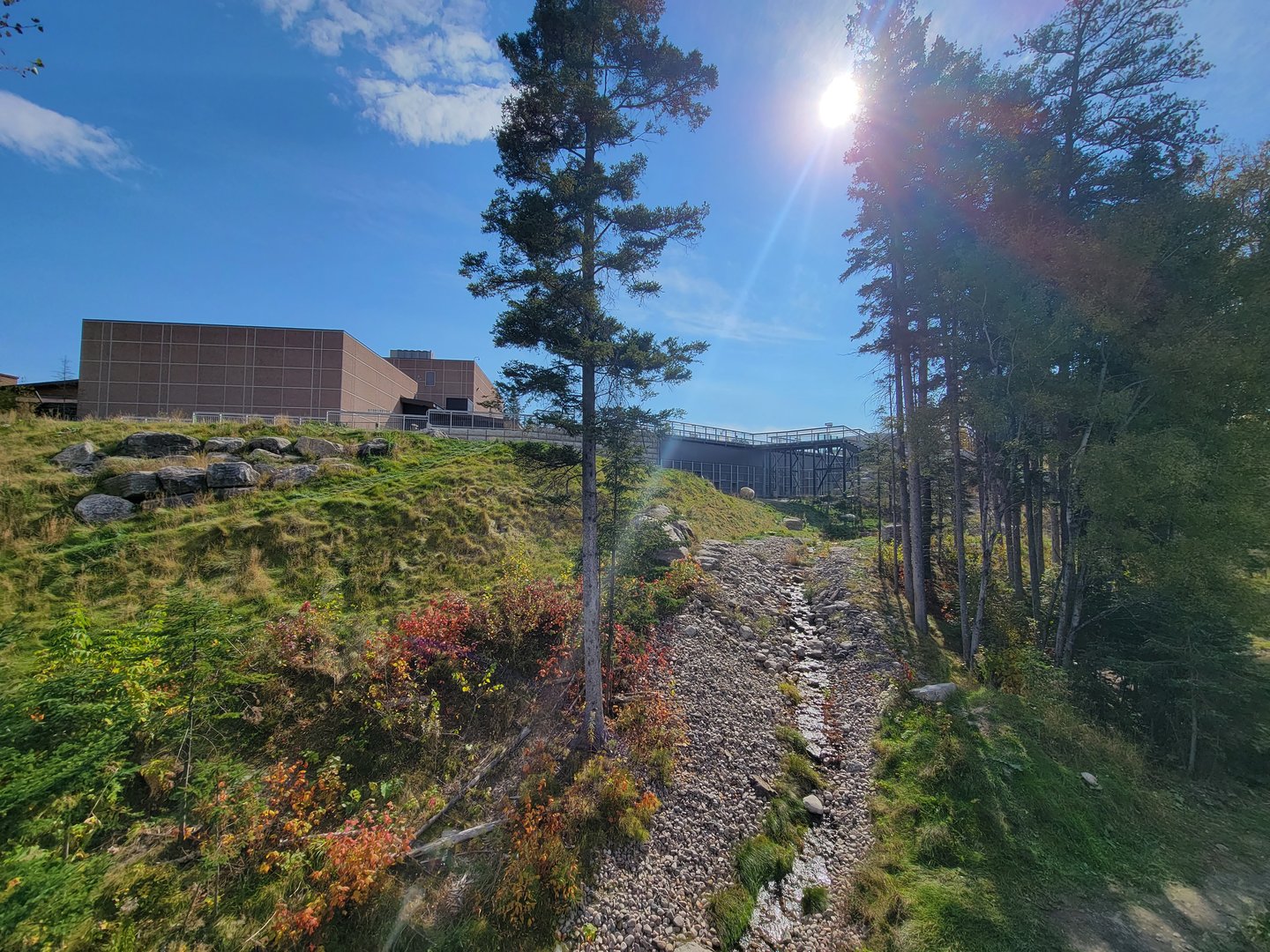 Zoo Sauvage 10/22 - Arctic Tundra, polar bear / arctic fox exhibit #1
