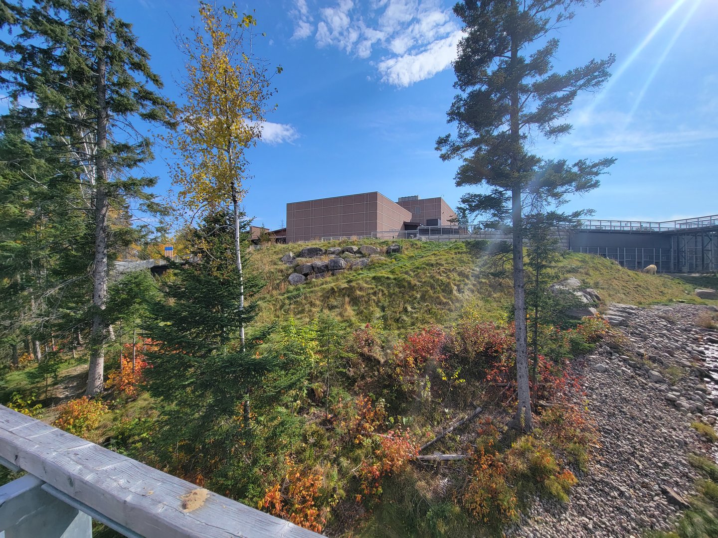 Zoo Sauvage 10/22 - Arctic Tundra, polar bear / arctic fox exhibit #1