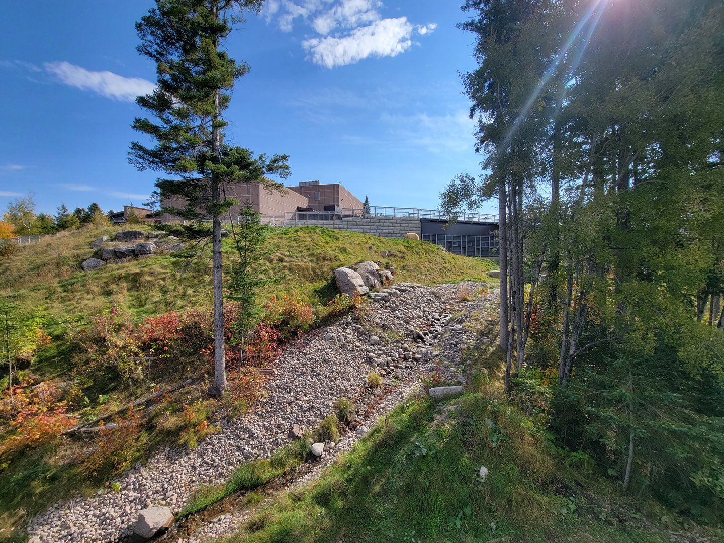 Zoo Sauvage 10/22 - Arctic Tundra, polar bear / arctic fox exhibit #1