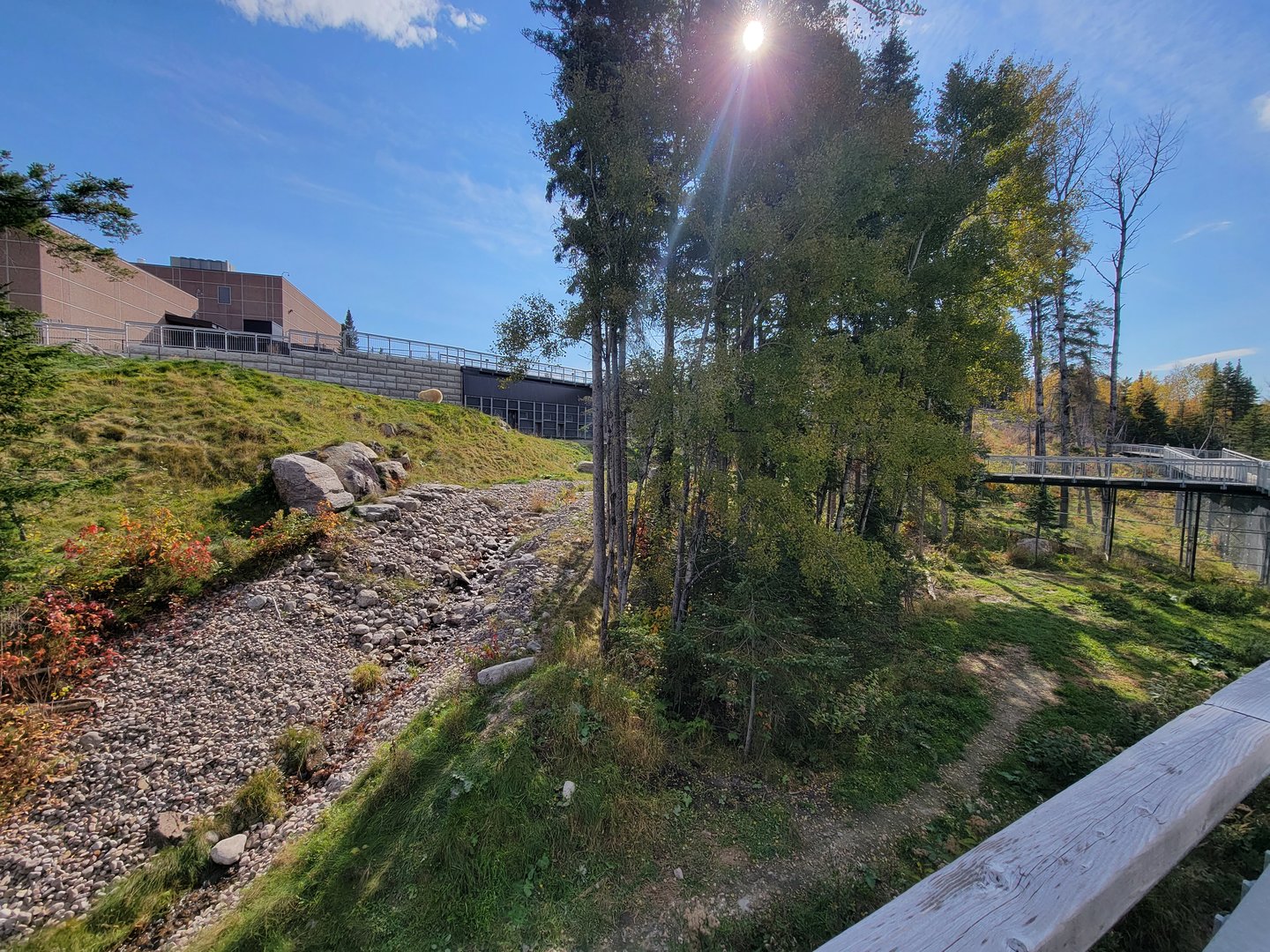 Zoo Sauvage 10/22 - Arctic Tundra, polar bear / arctic fox exhibit #1