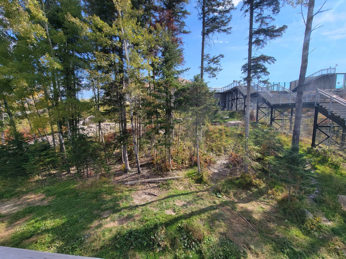 Zoo Sauvage 10/22 - Arctic Tundra, polar bear / arctic fox exhibit #1