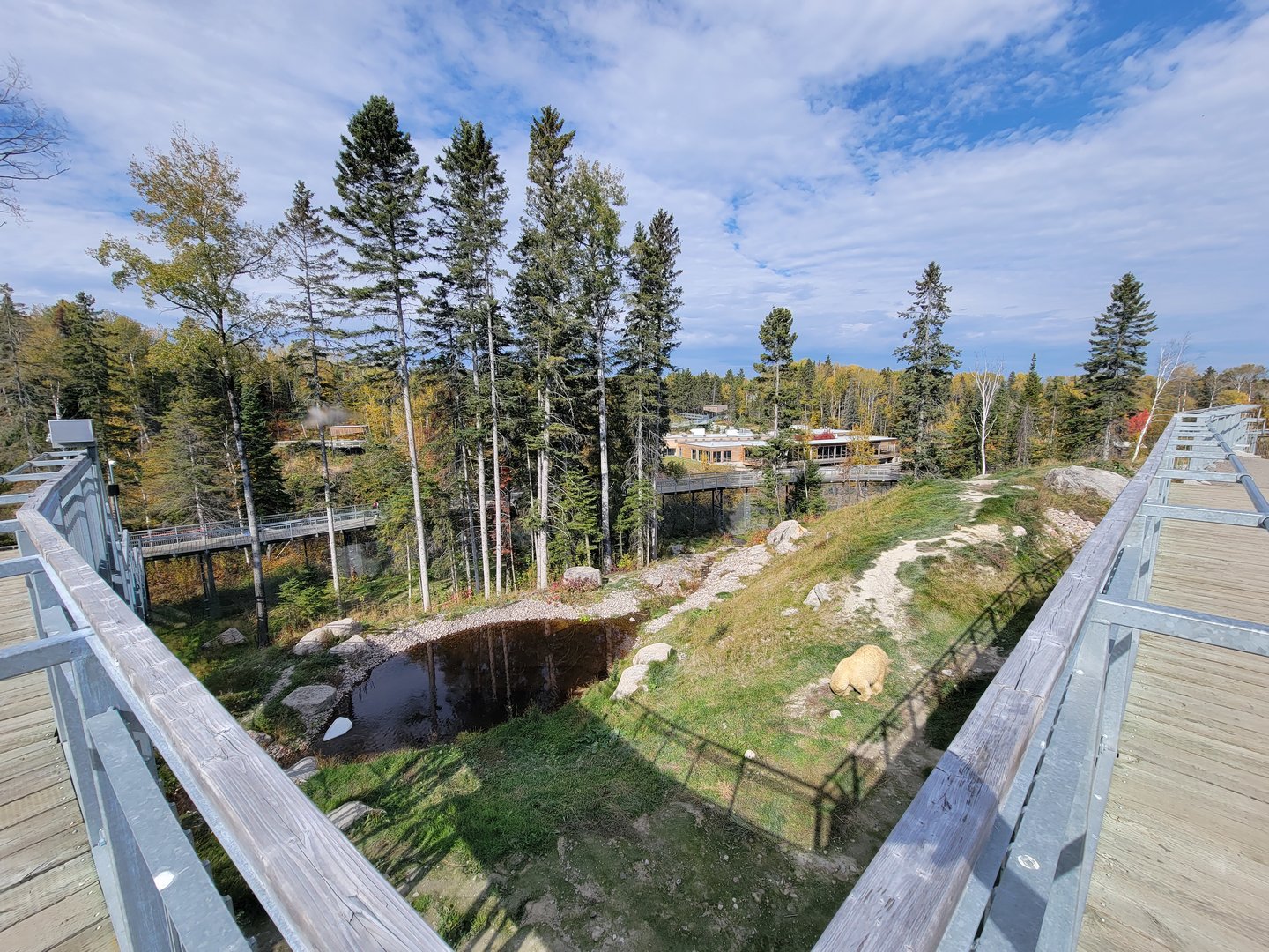 Zoo Sauvage 10/22 - Arctic Tundra, polar bear / arctic fox exhibit #1