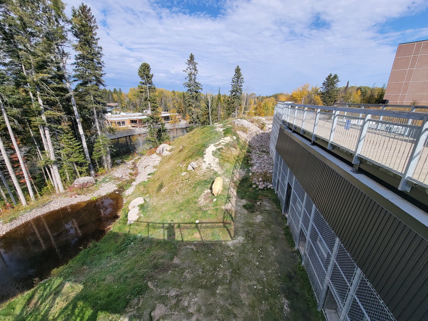 Zoo Sauvage 10/22 - Arctic Tundra, polar bear / arctic fox exhibit #1