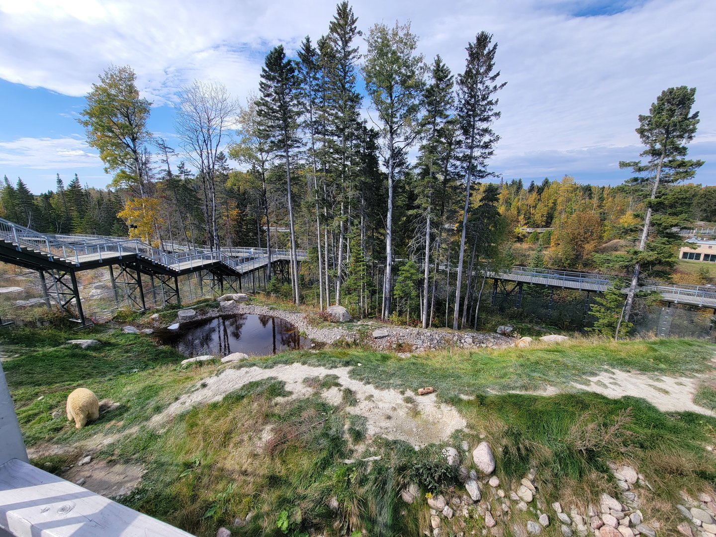 Zoo Sauvage 10/22 - Arctic Tundra, polar bear / arctic fox exhibit #1