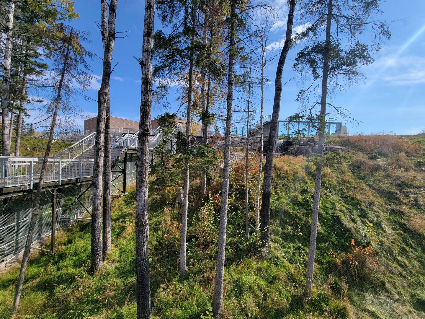 Zoo Sauvage 10/22 - Arctic Tundra, polar bear / arctic fox exhibit #2