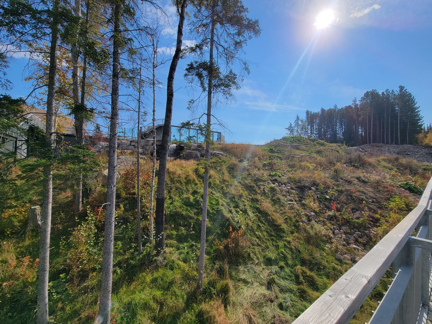 Zoo Sauvage 10/22 - Arctic Tundra, polar bear / arctic fox exhibit #2