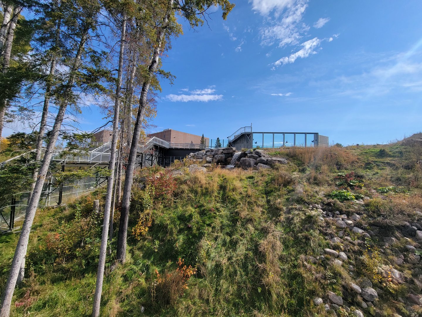 Zoo Sauvage 10/22 - Arctic Tundra, polar bear / arctic fox exhibit #2