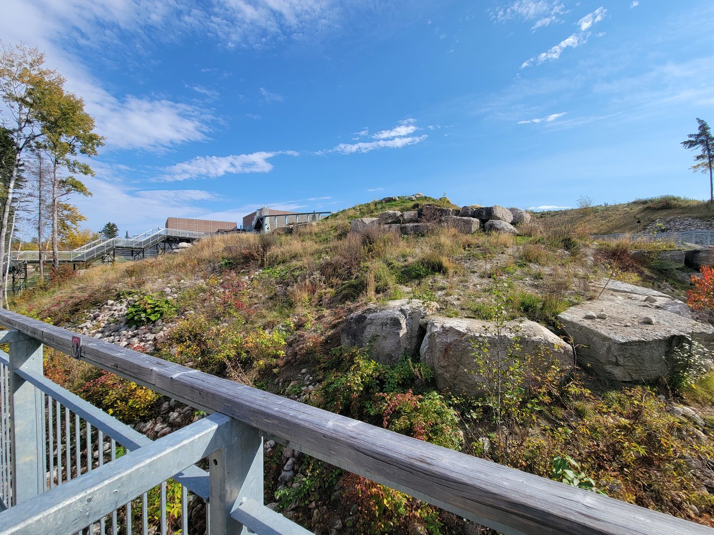 Zoo Sauvage 10/22 - Arctic Tundra, polar bear / arctic fox exhibit #2